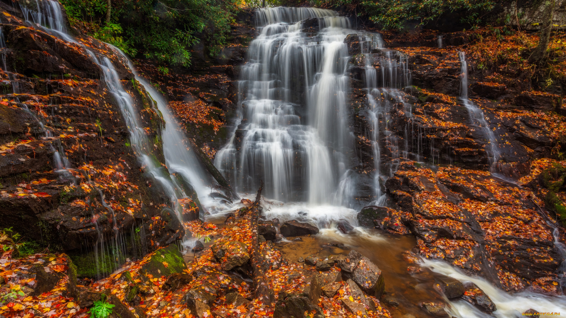 природа, водопады, водопад, река, лес