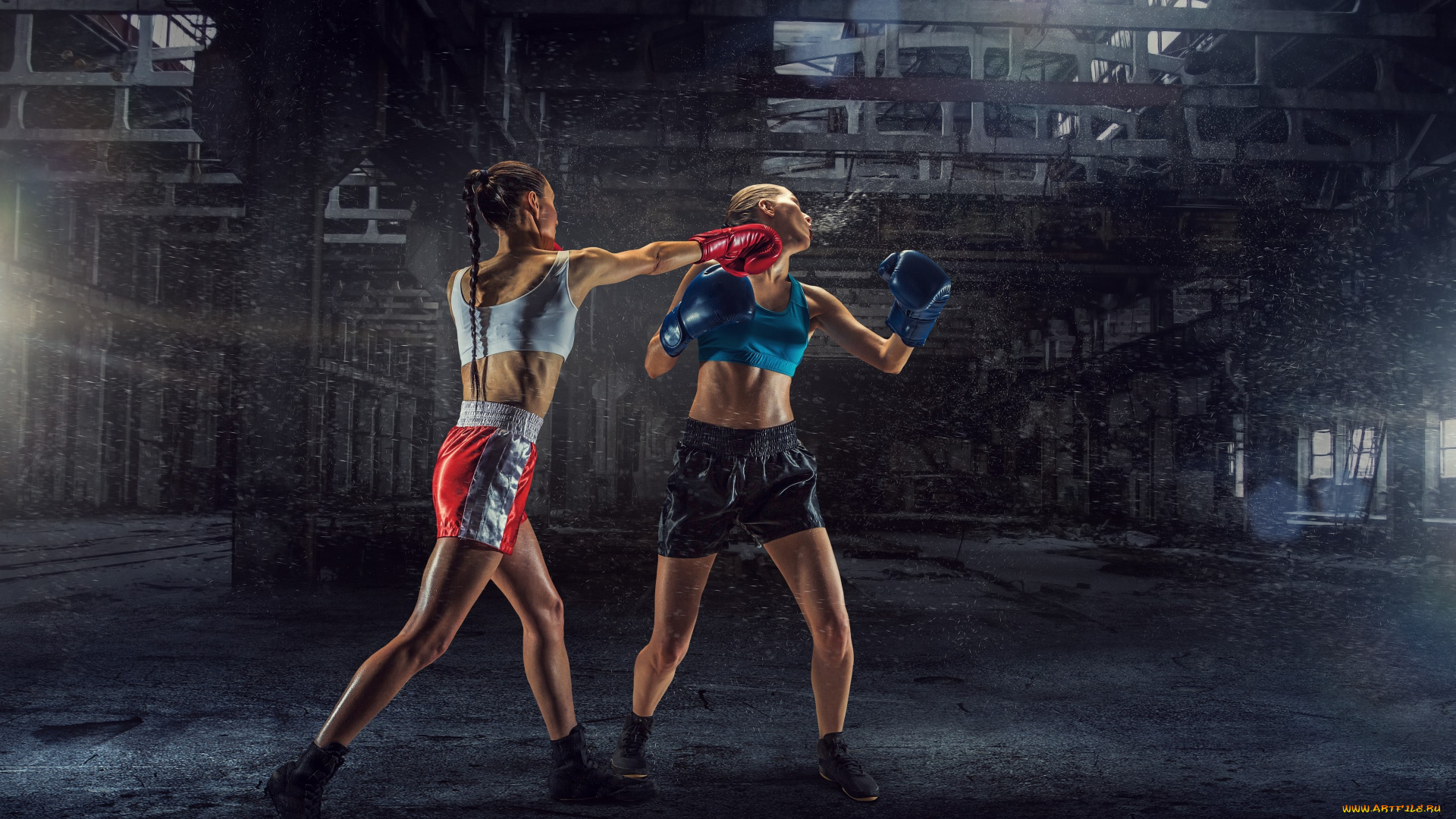 спорт, бокс, девушки, взгляд, фон