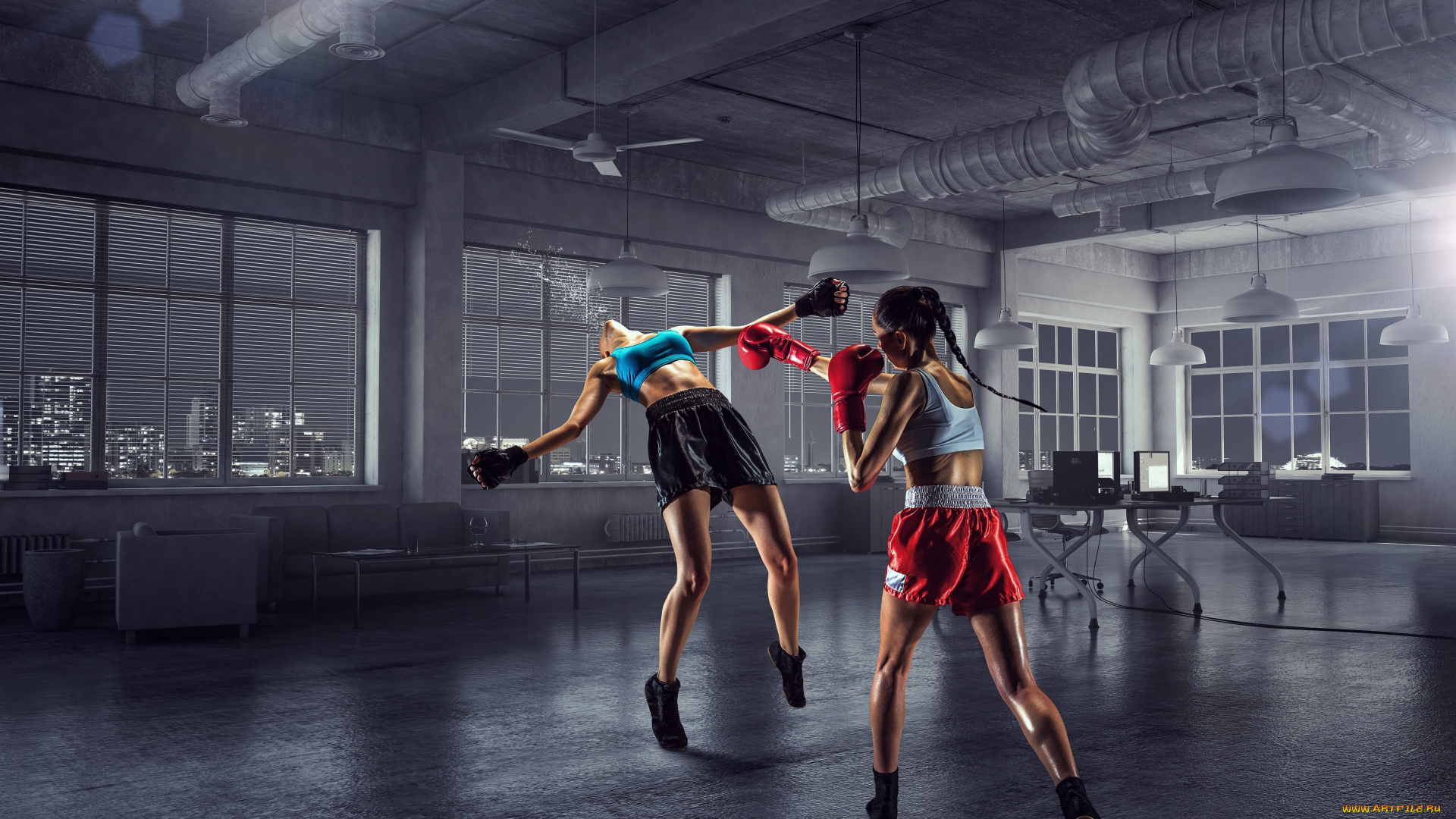 спорт, бокс, девушки, взгляд, фон