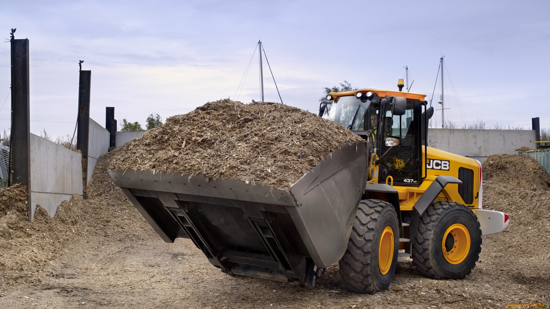 техника, фронтальные, погрузчики, jcb