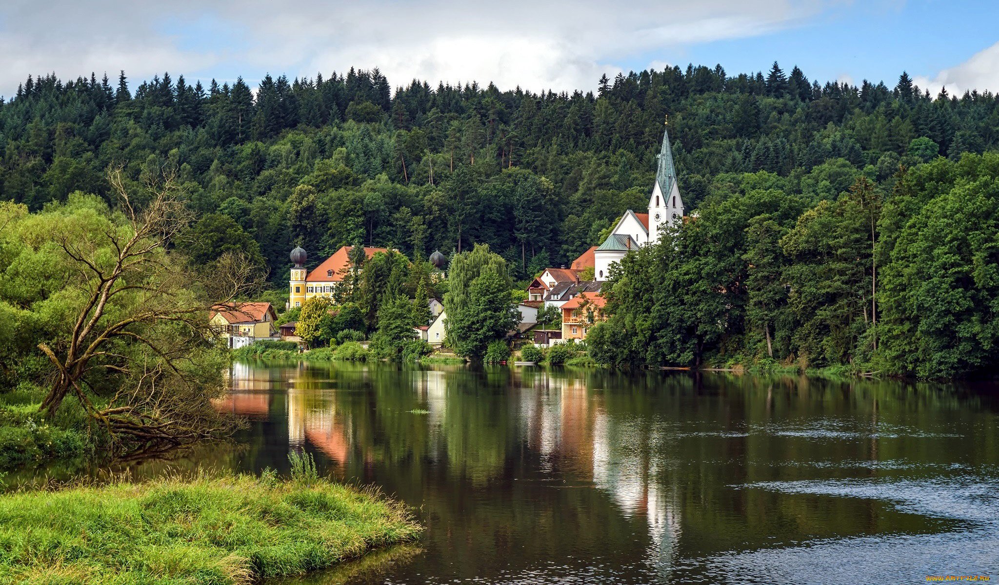 города, -, католические, соборы, , костелы, , аббатства, костел, городок, лес, река