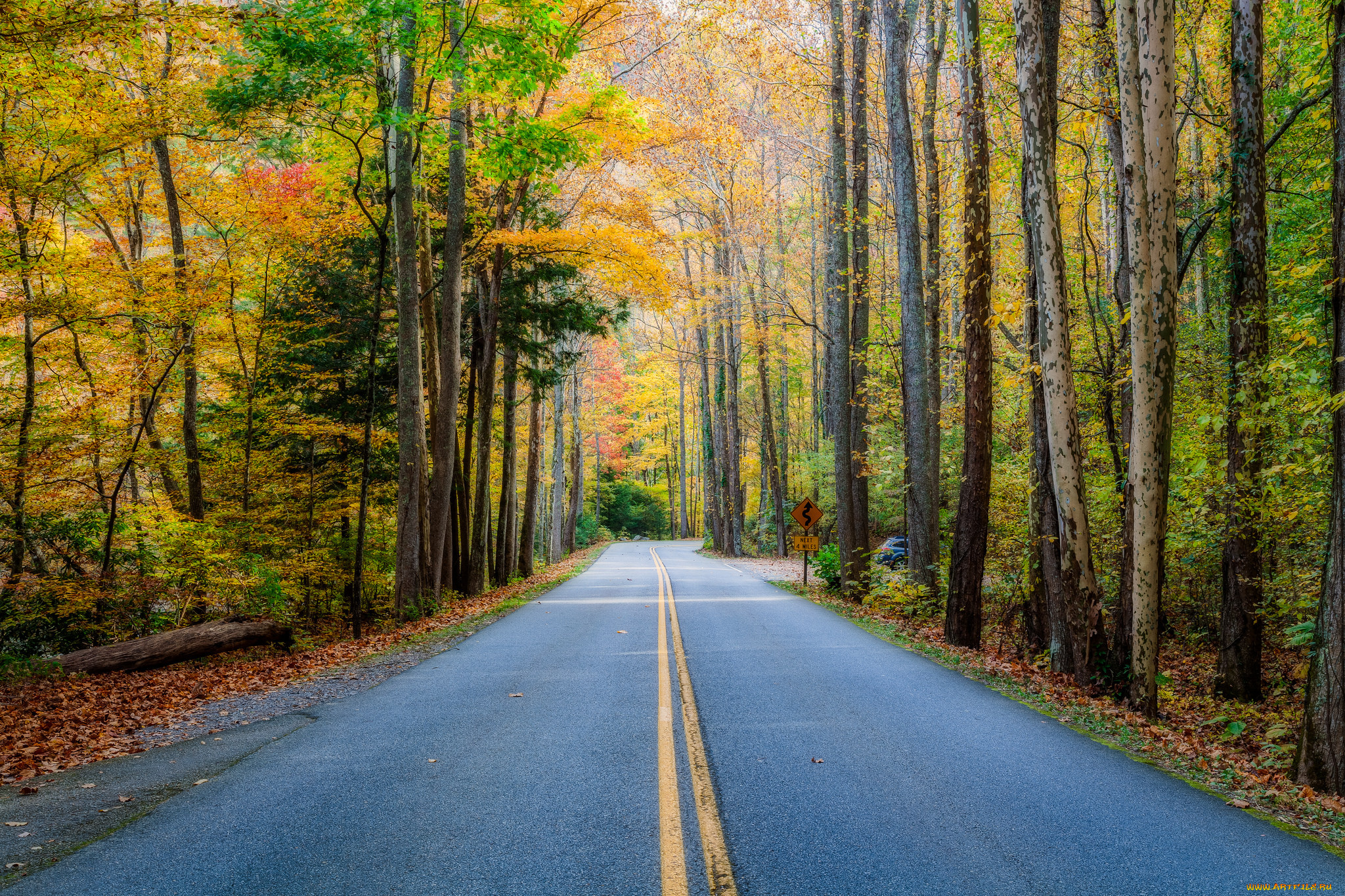 природа, дороги, шоссе