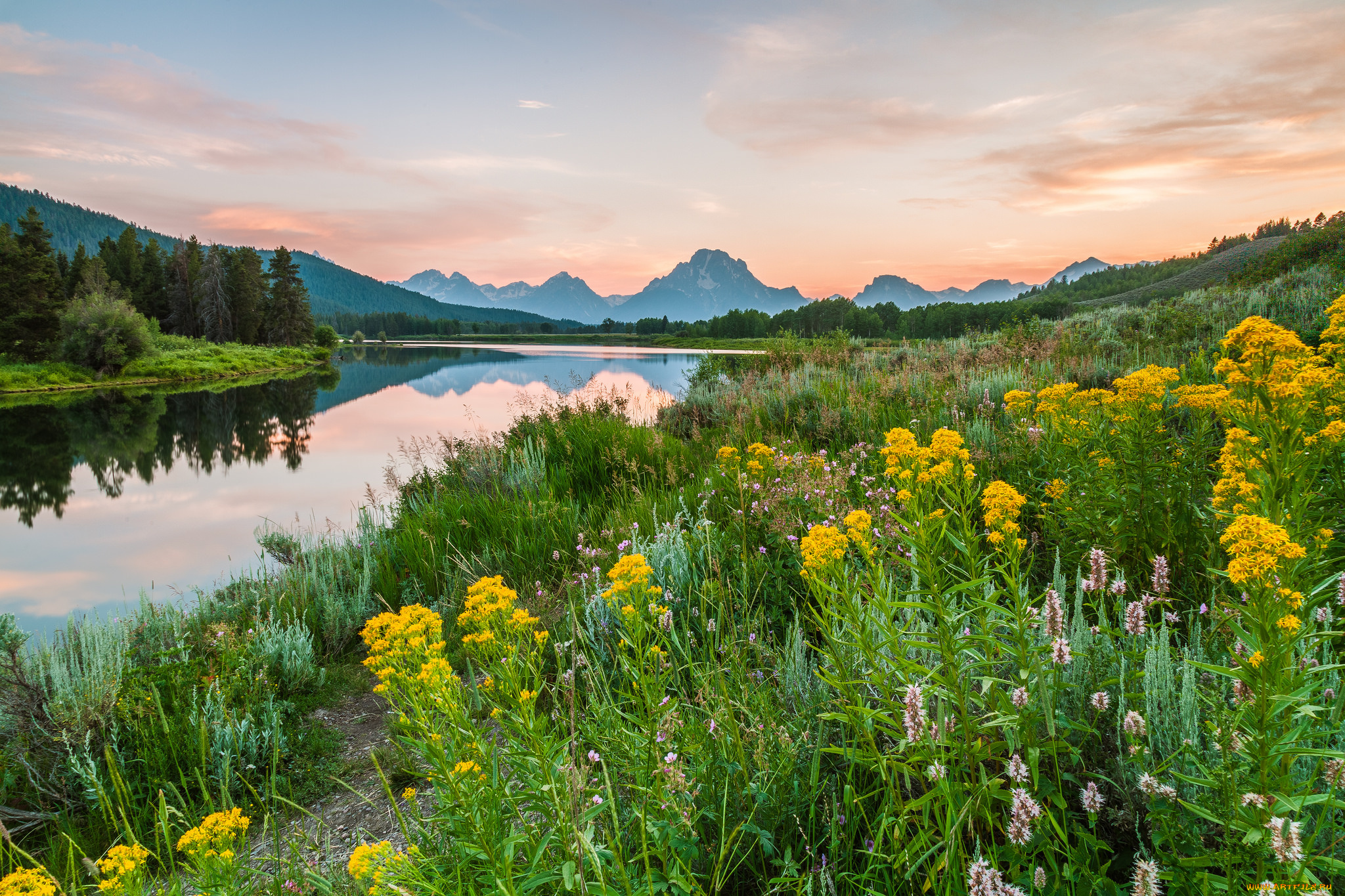 природа, реки, озера, река, лес