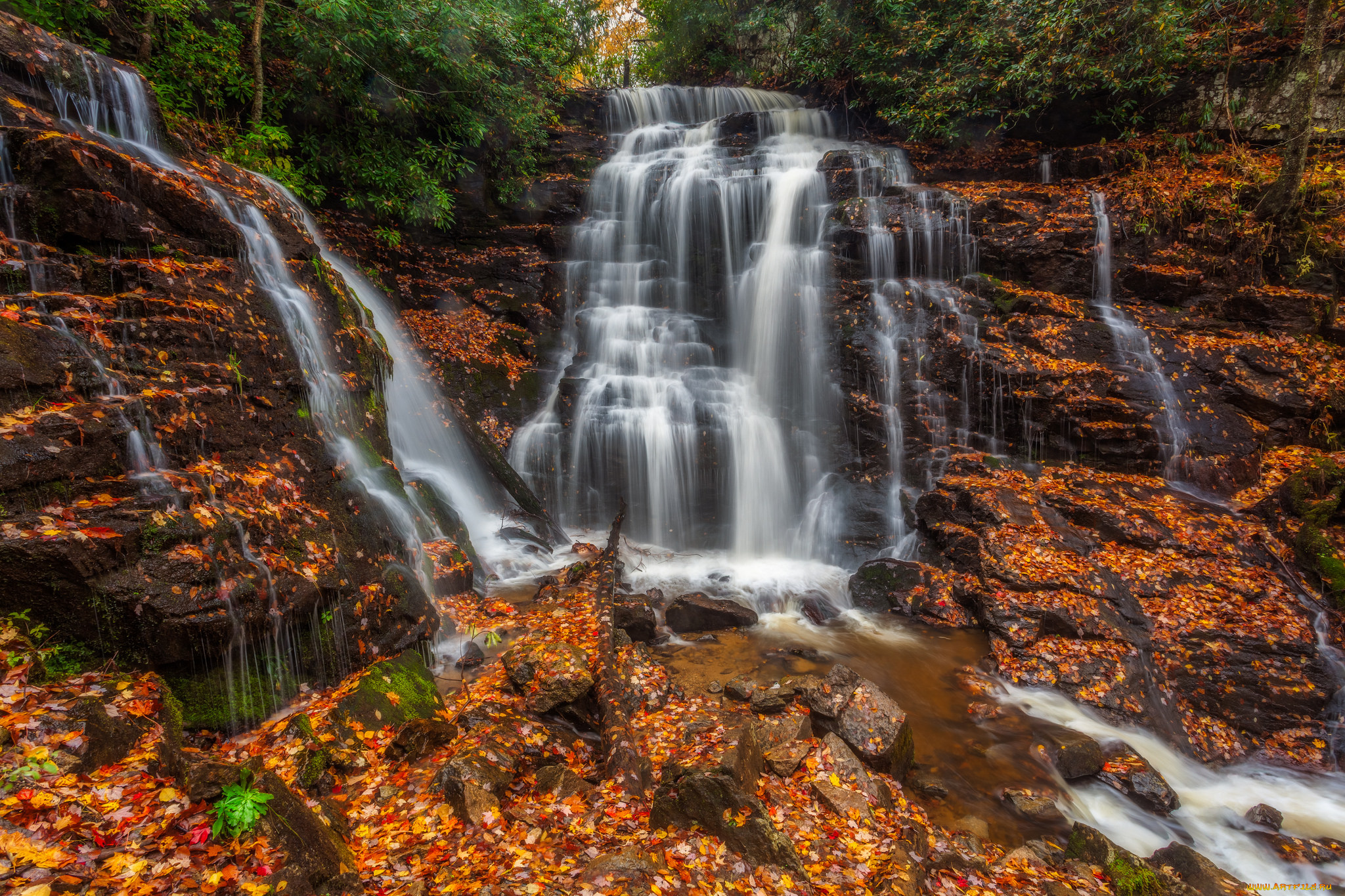 природа, водопады, водопад, река, лес