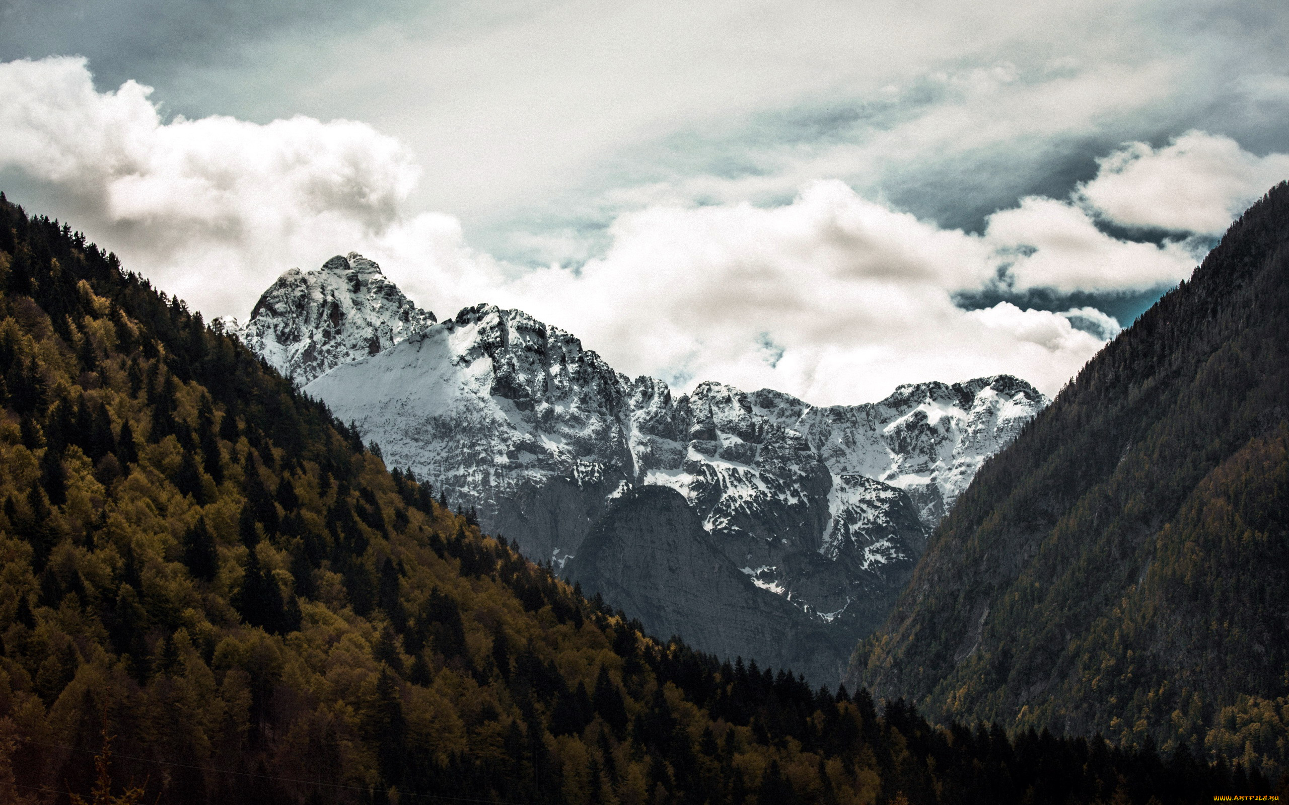 природа, горы, лес, вершина, облака