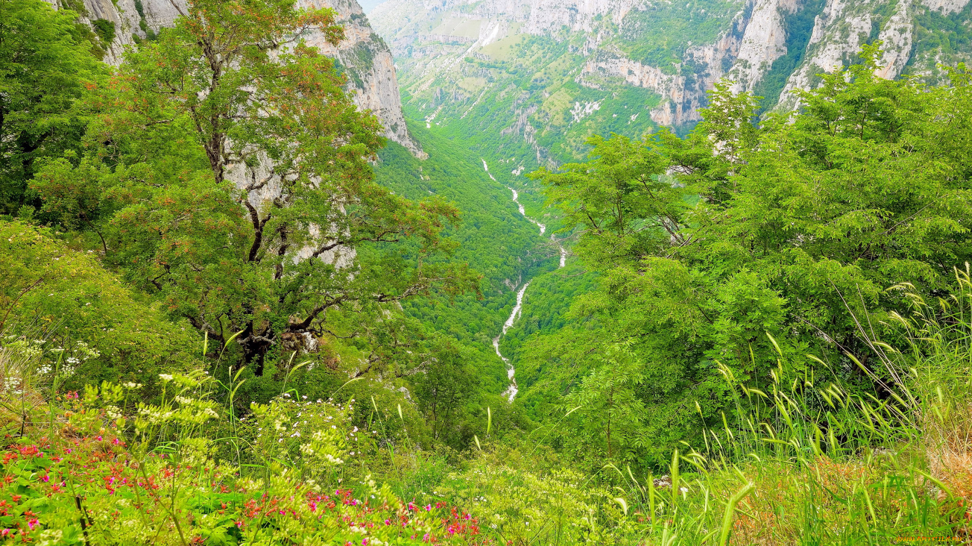 природа, горы, зелень