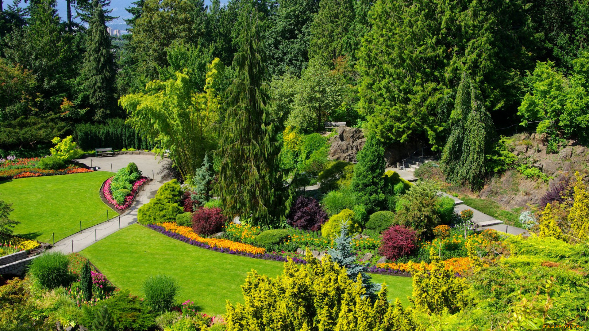 природа, парк, клумбы, аллеи