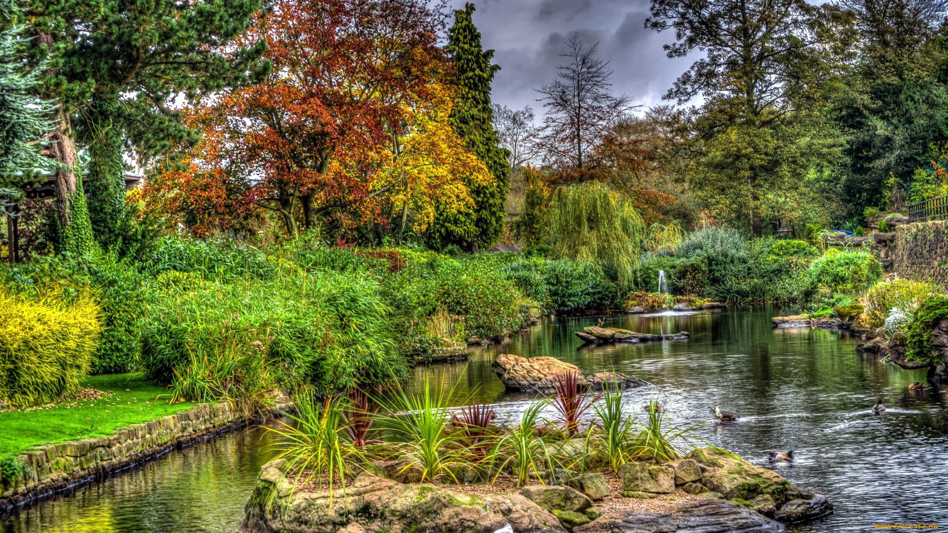 природа, парк, садик, японский, водоем