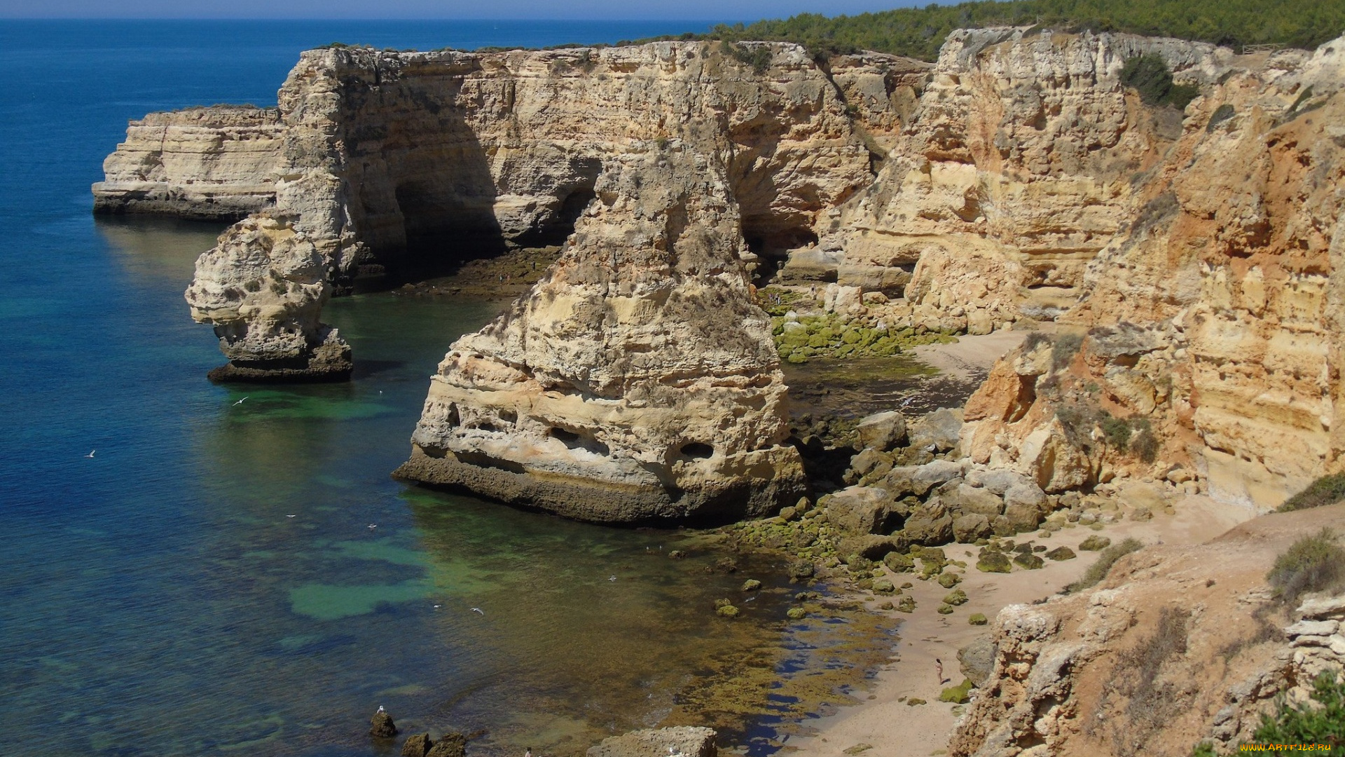 природа, побережье, скалы