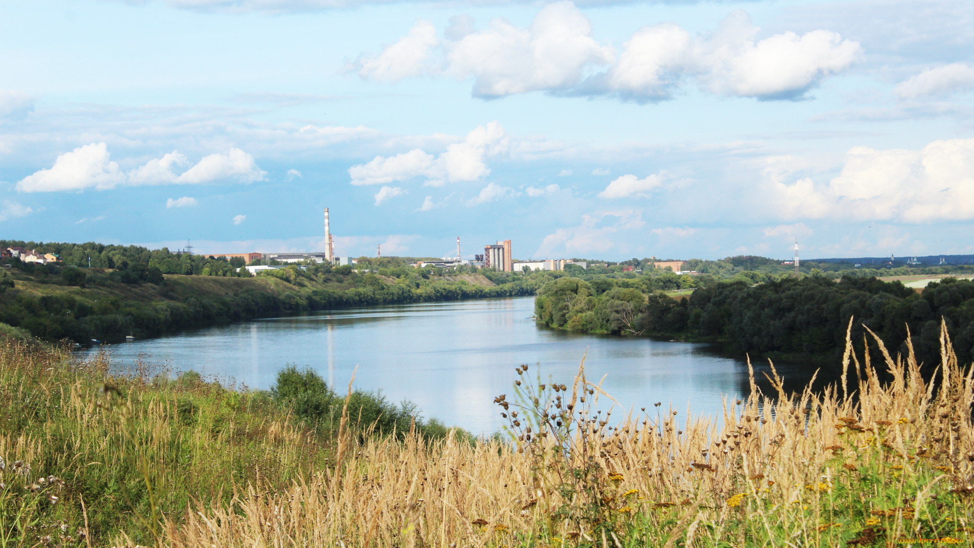 природа, реки, озера, деревья, трава, река