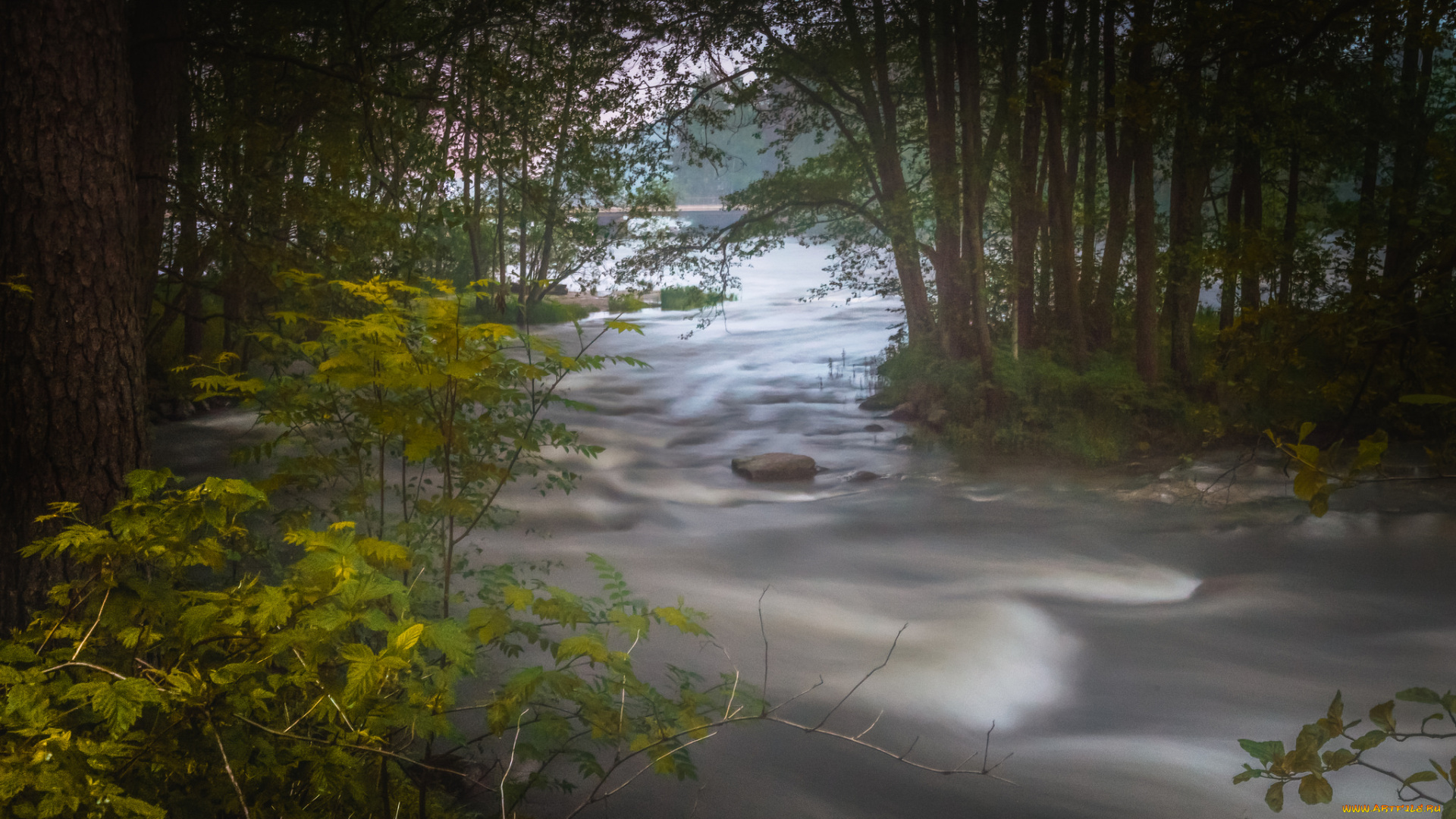 природа, реки, озера, простор
