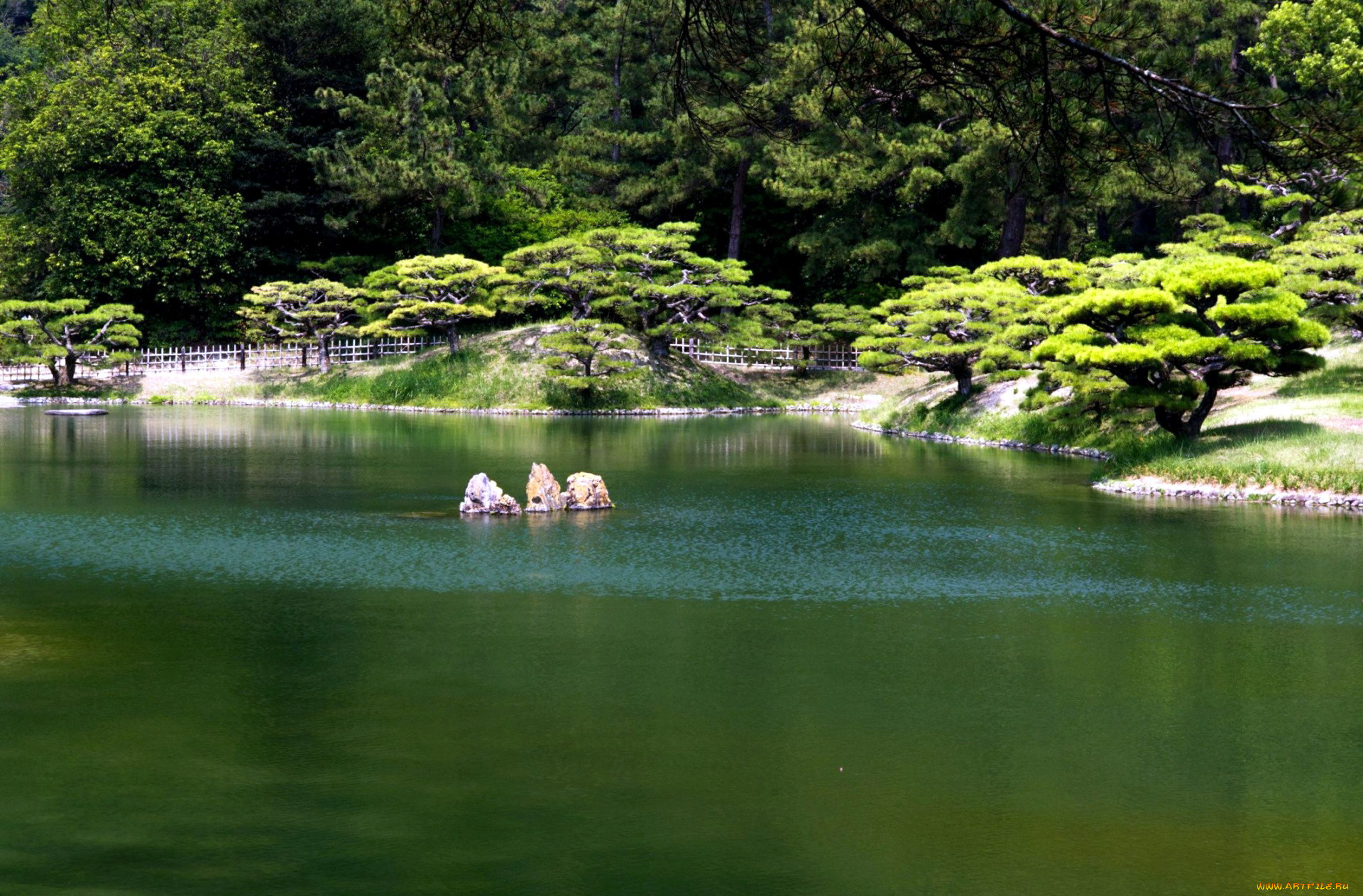 природа, парк, садик, японский, водоем