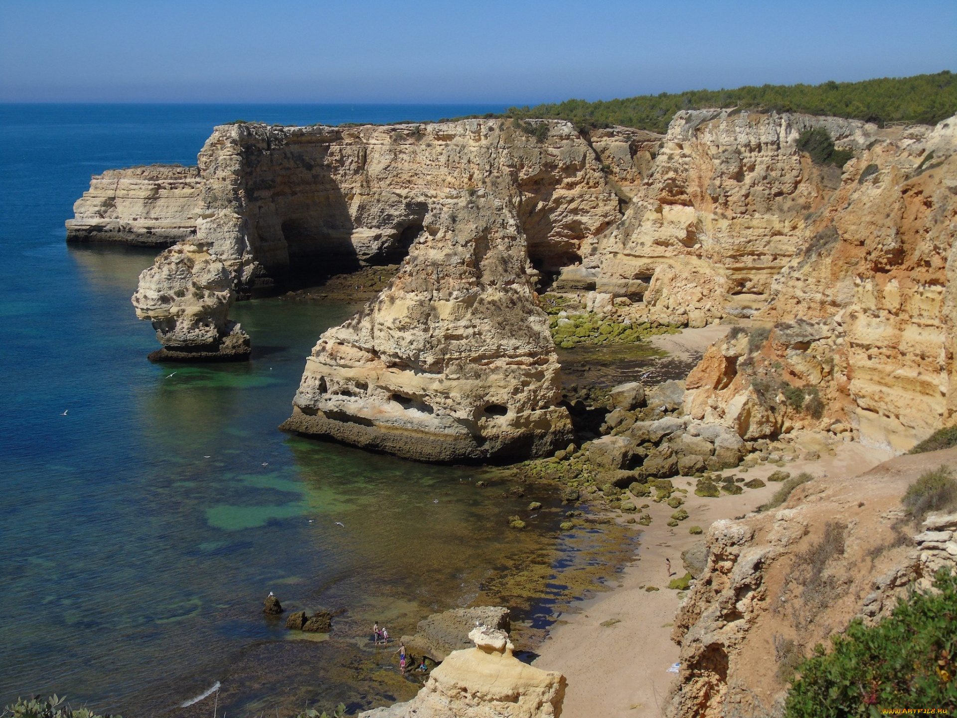 природа, побережье, скалы