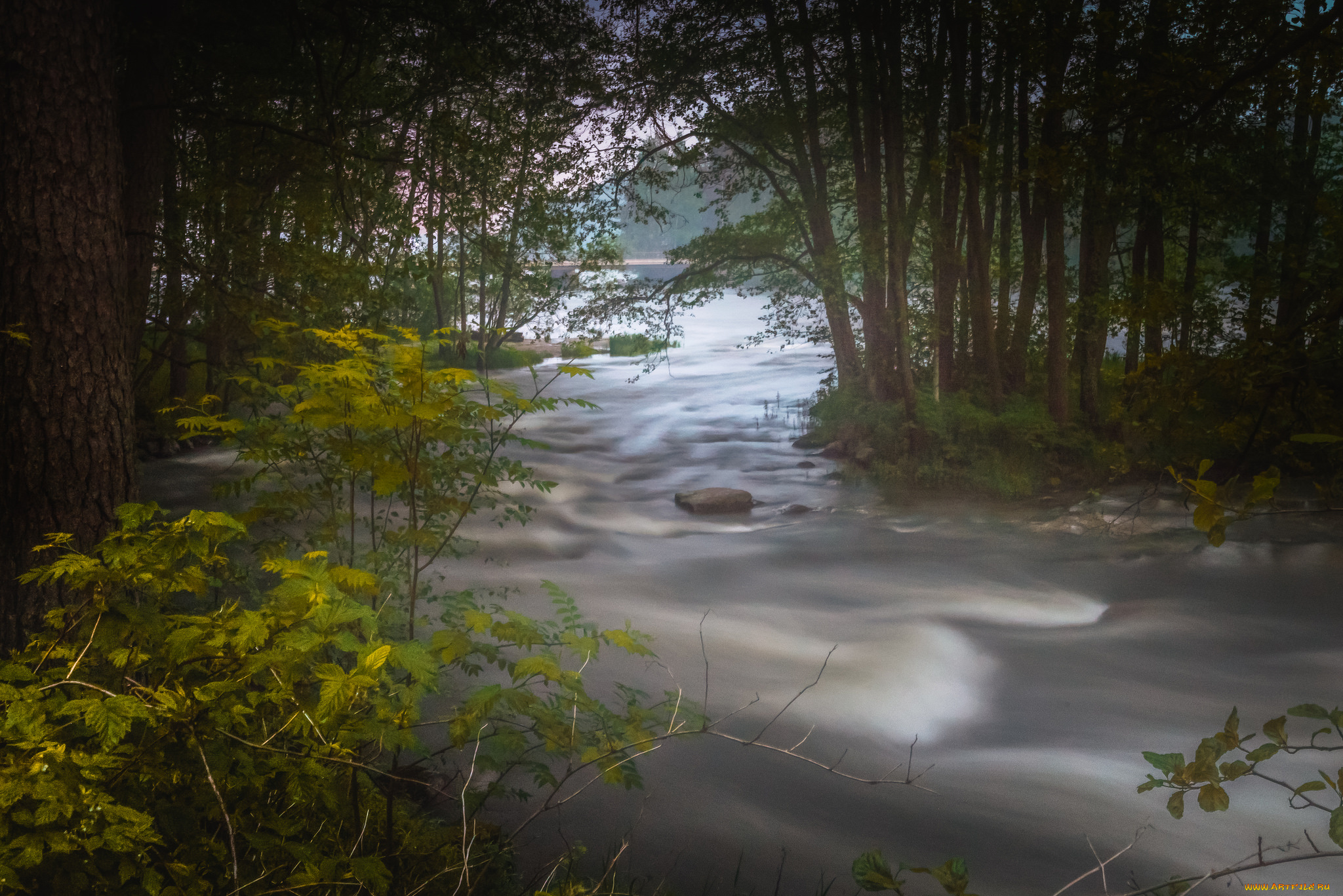 природа, реки, озера, простор