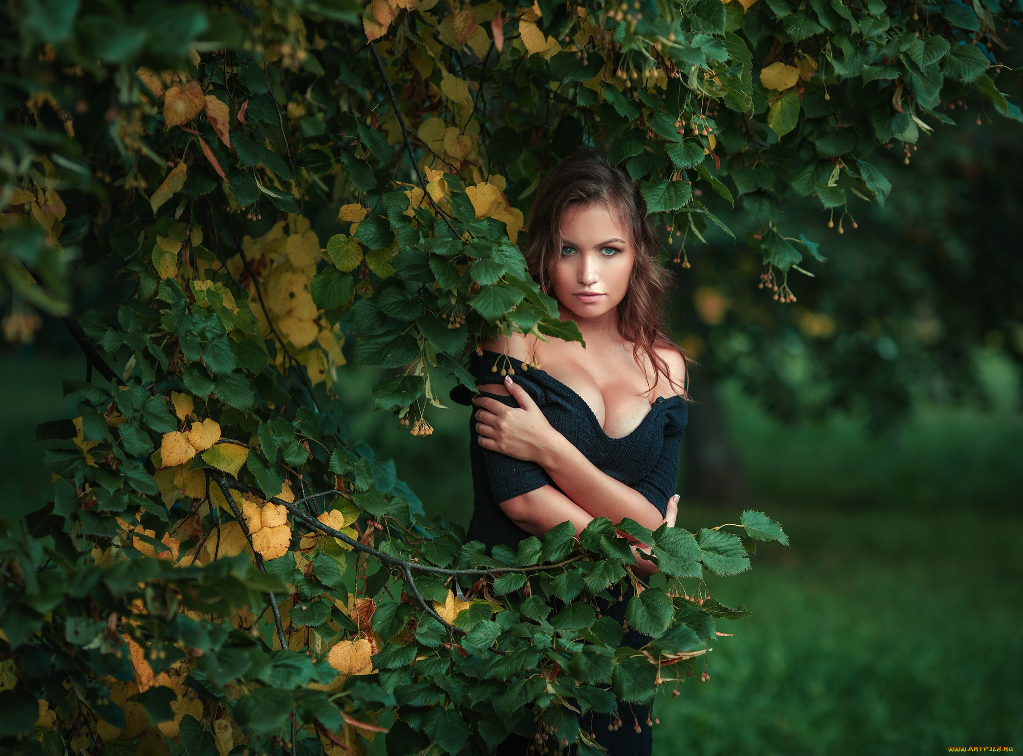 девушка, девушки, -unsort, , брюнетки, темноволосые, модель, зеленая, рубашка, декольте, зеленые, глаза, на, улице, деревья, ветка, листья, природа, смотрит, зрителя, nicole, young