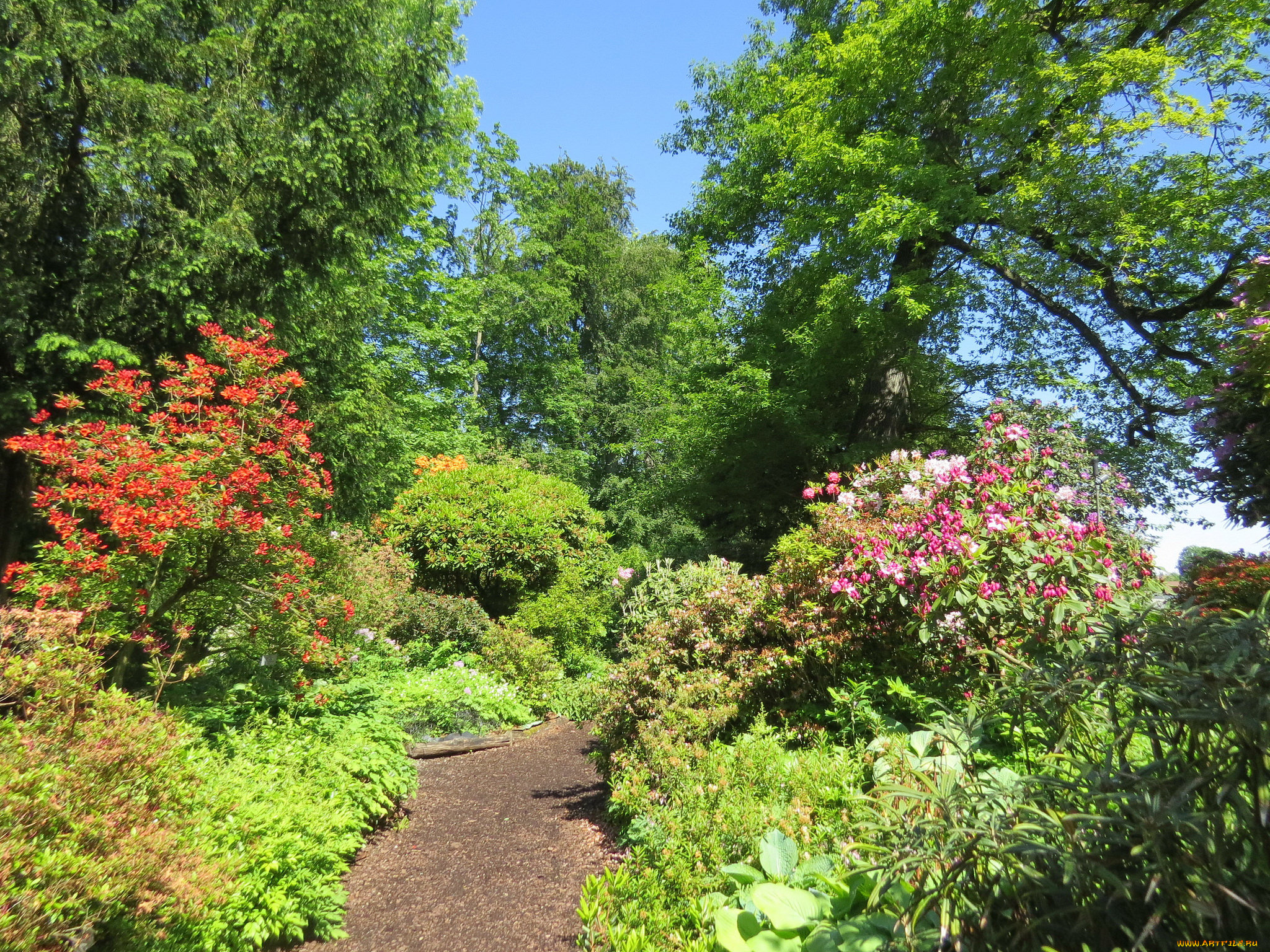 природа, парк