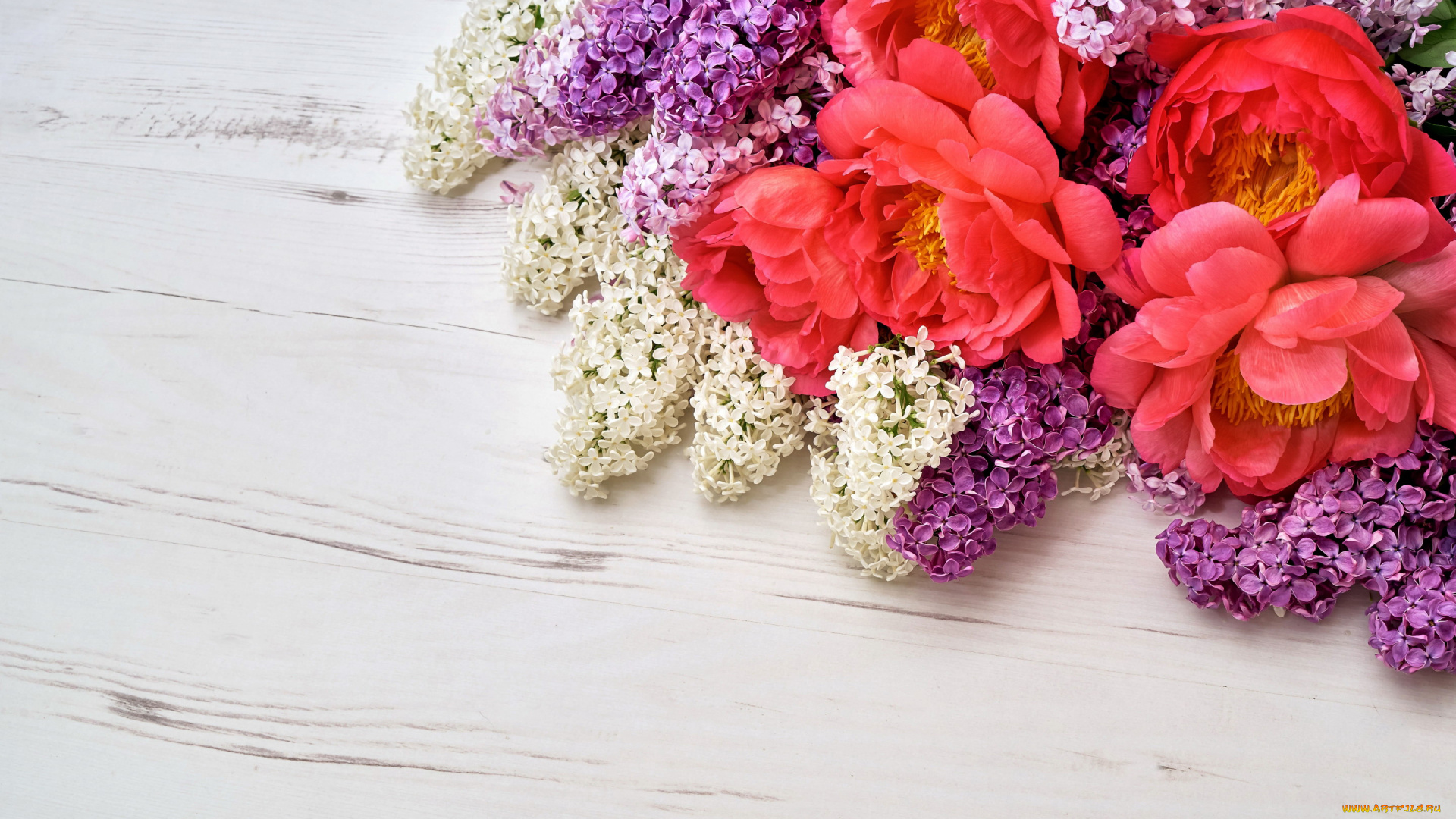 цветы, разные, вместе, сирень