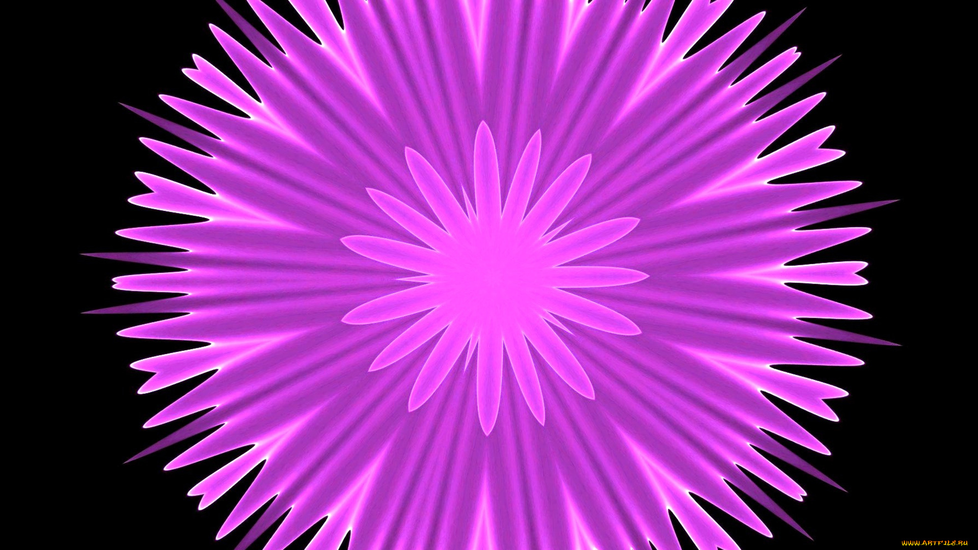 векторная, графика, -графика, , graphics, цвет, фон, узор