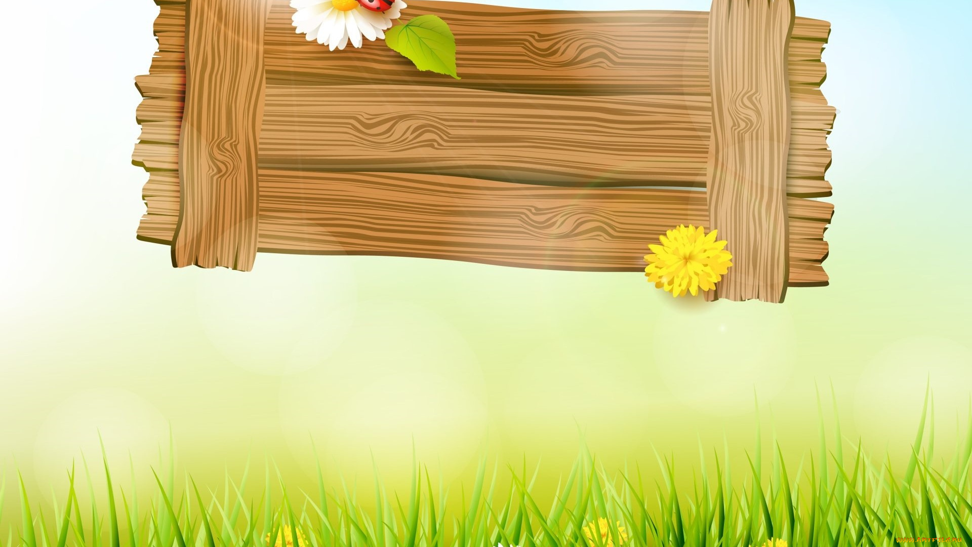 векторная, графика, животные, , animals, божьи, коровки