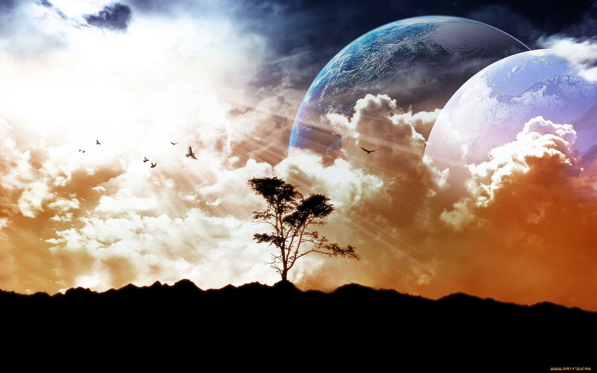 разное, компьютерный, дизайн, дерево, птицы, планеты, лучи, тучи, небо