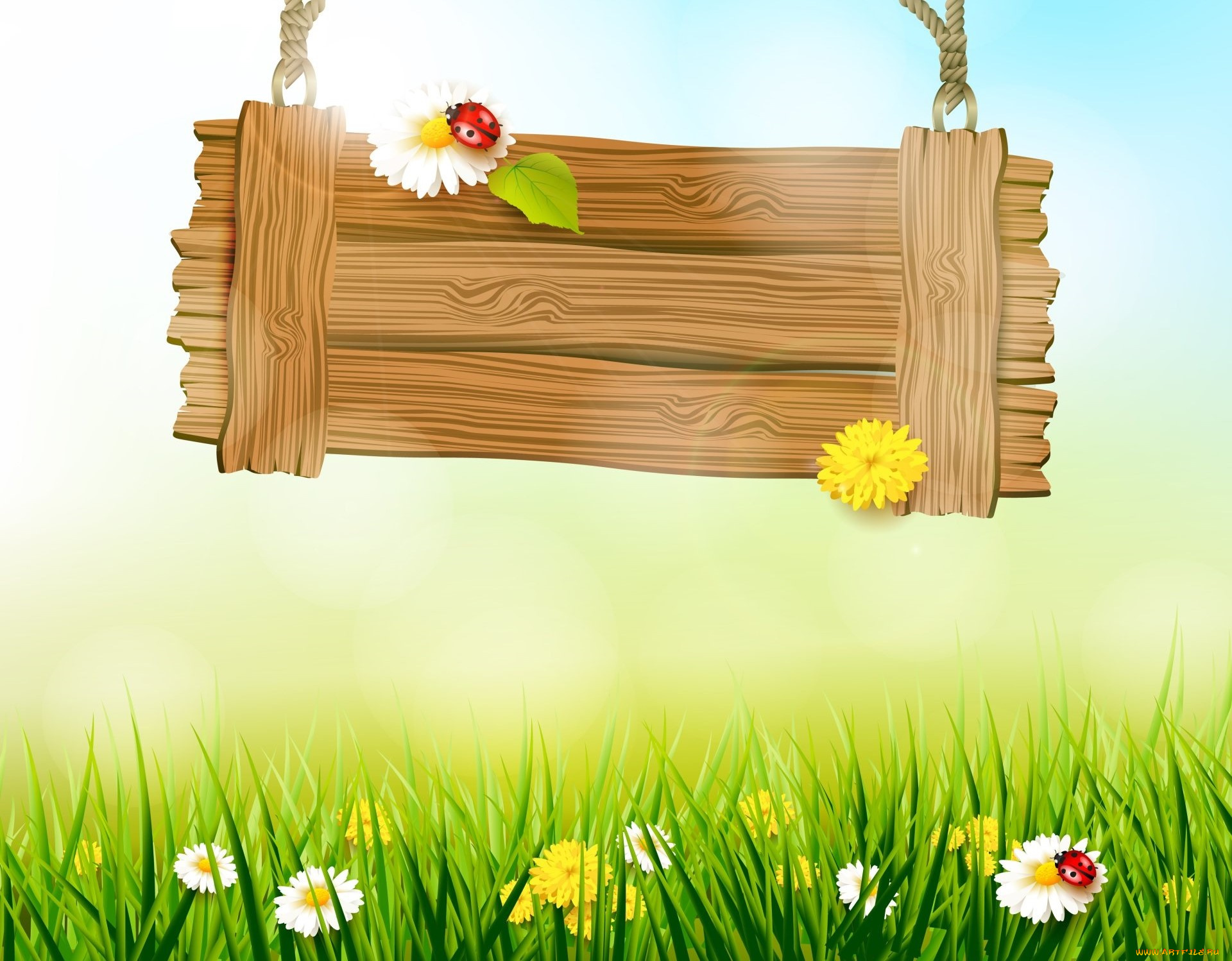 векторная, графика, животные, , animals, божьи, коровки