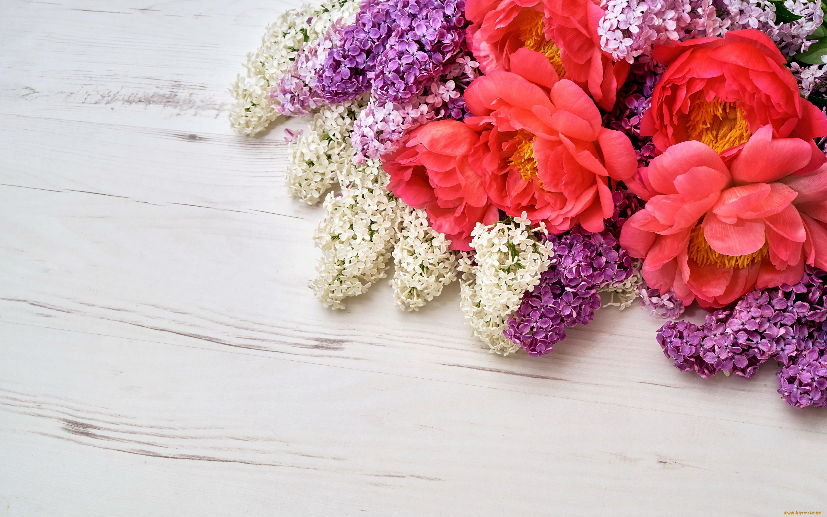 цветы, разные, вместе, сирень