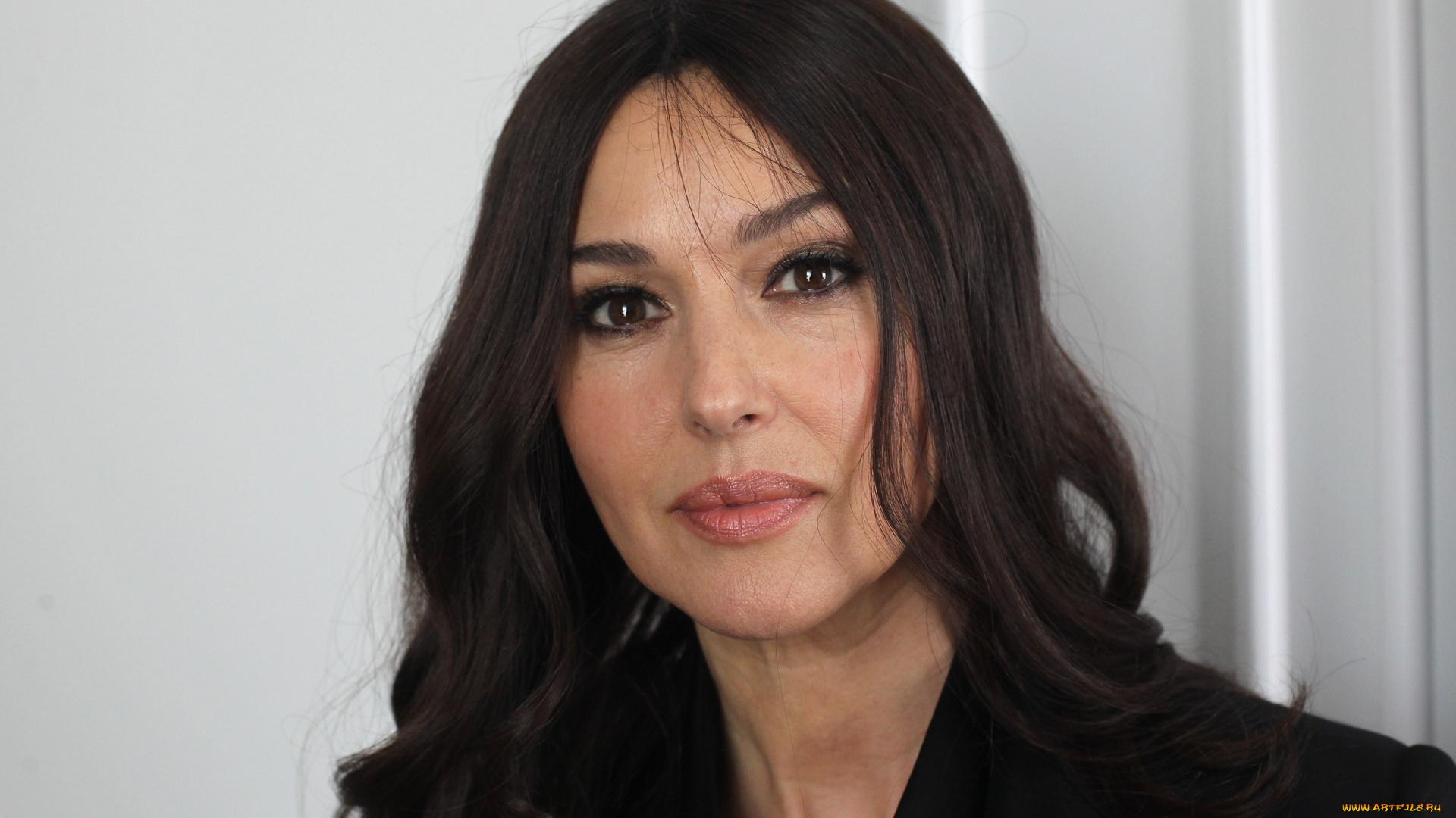 девушки, monica, bellucci, актриса, шатенка, лицо