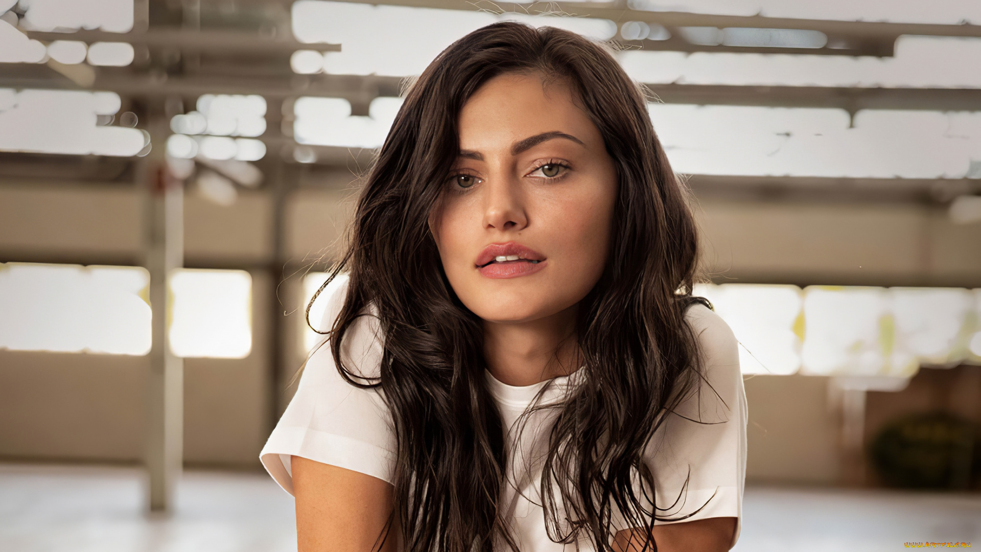 девушки, phoebe, tonkin, портрет