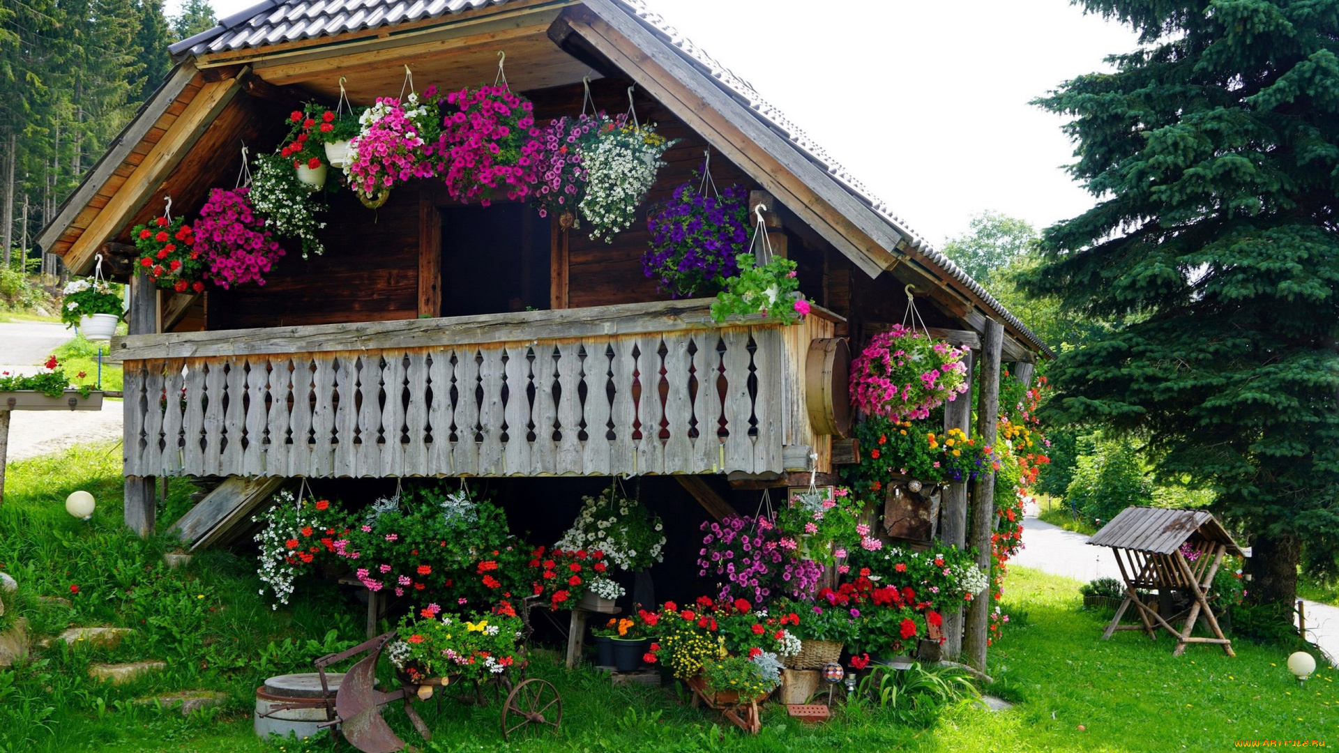 города, -, здания, , дома, лето, дом, цветы