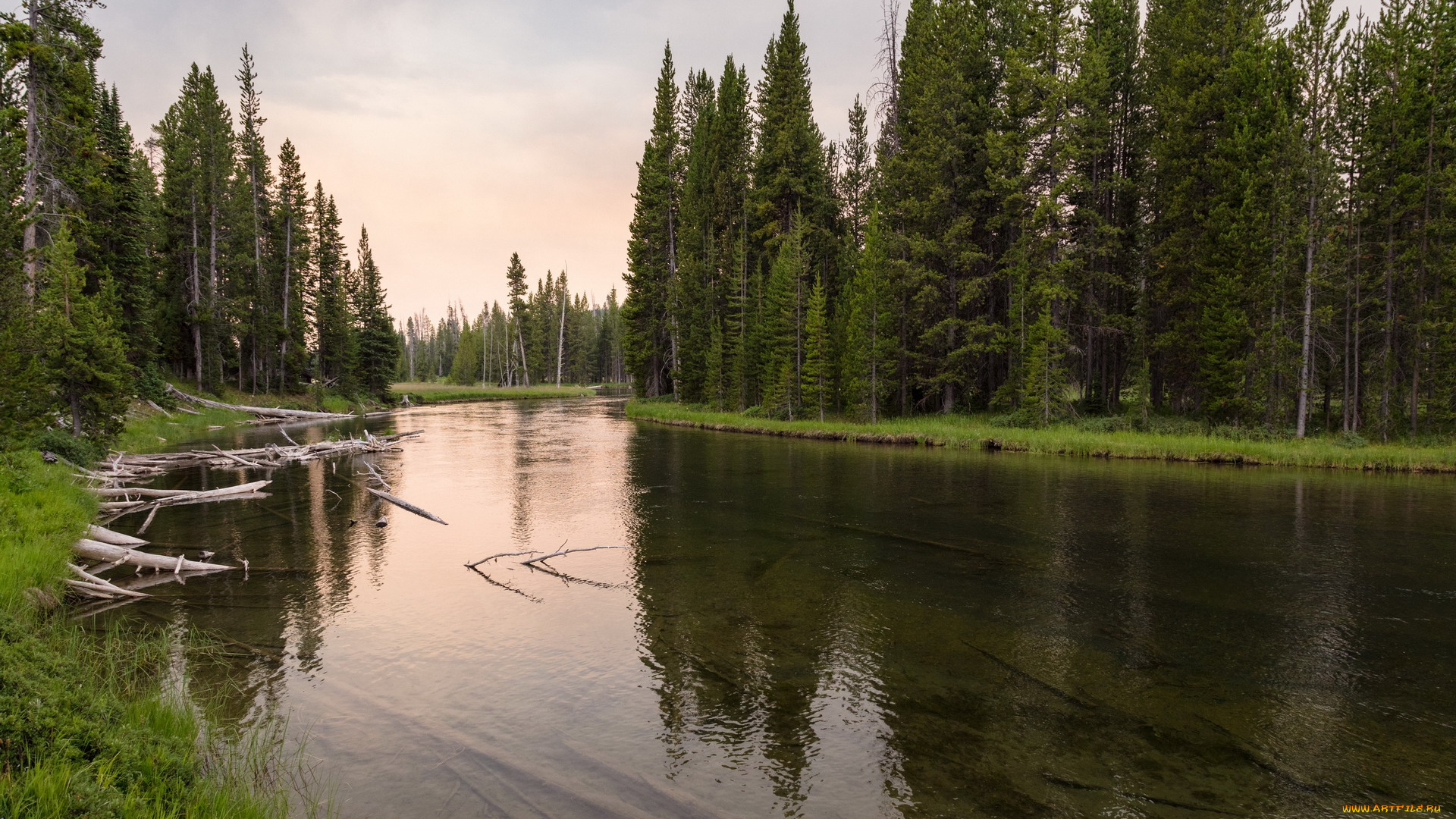 природа, реки, озера, река