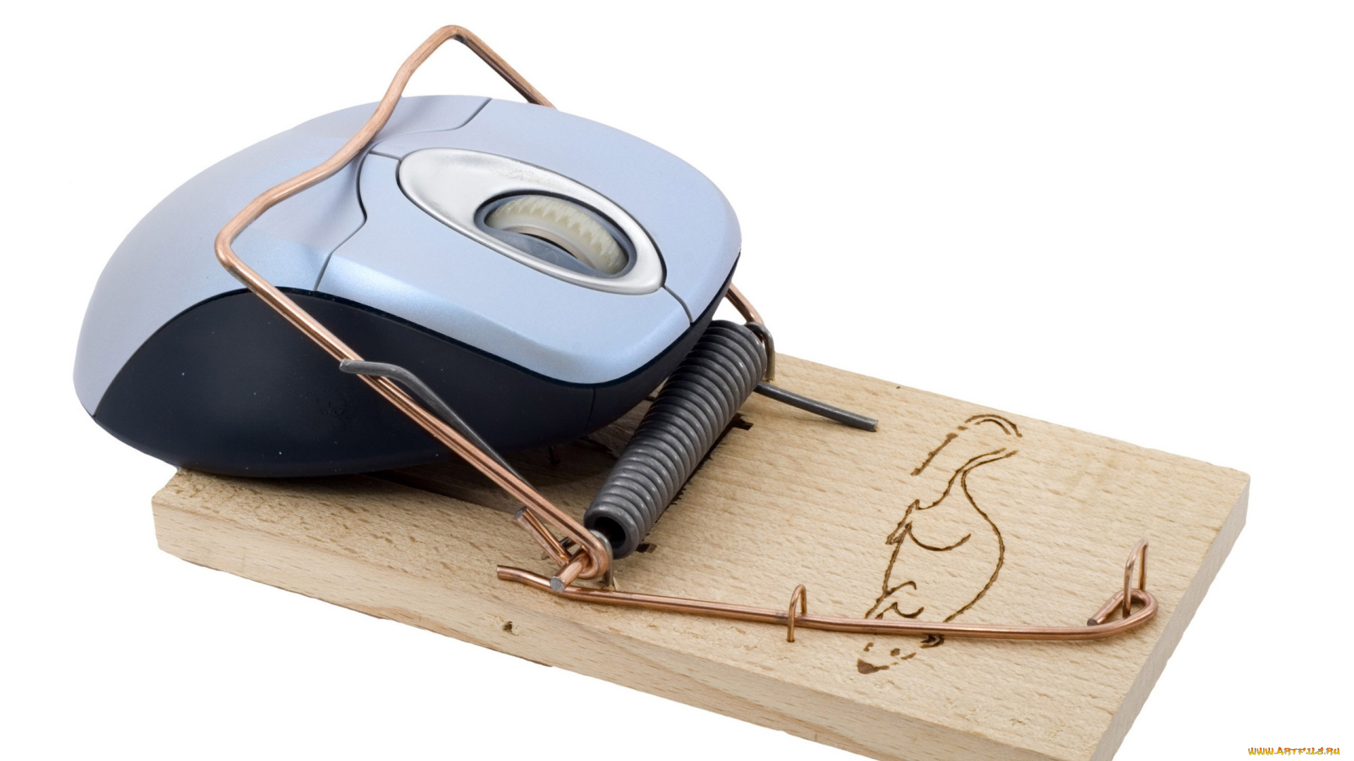 юмор, и, приколы, мышеловка, компьютерная, мышь, юмор