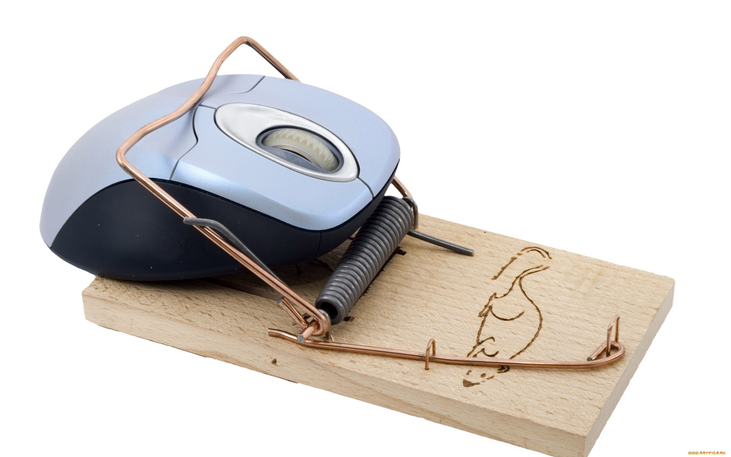 юмор, и, приколы, мышеловка, компьютерная, мышь, юмор