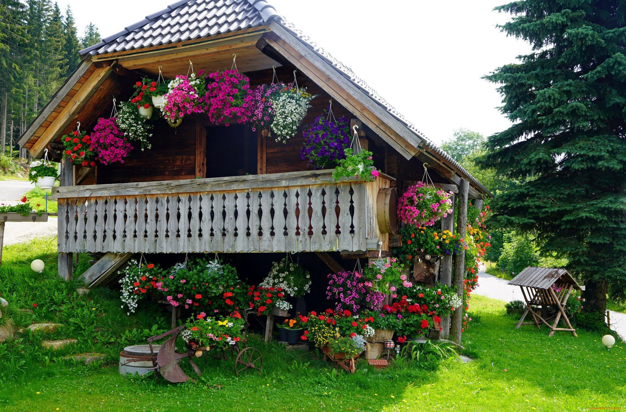 города, -, здания, , дома, лето, дом, цветы