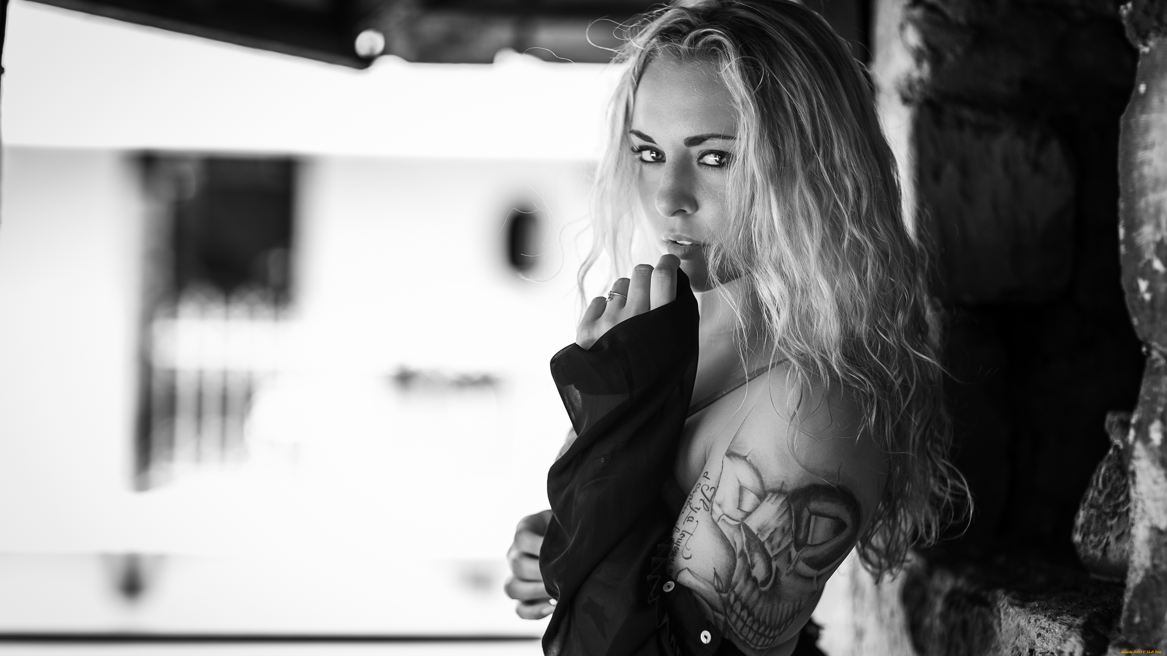 девушки, -, черно-белые, красивая, девушка