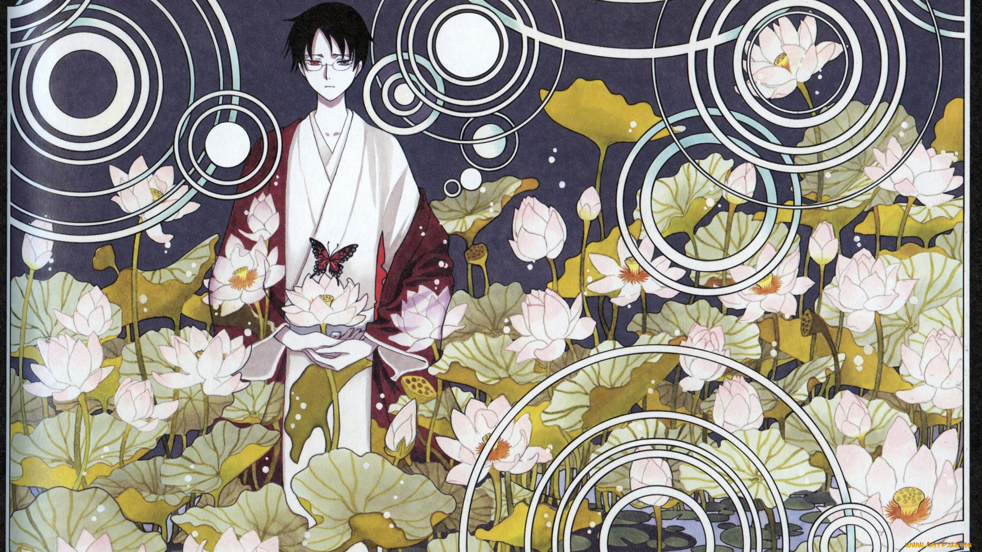 аниме, xxxholic, триплексоголик