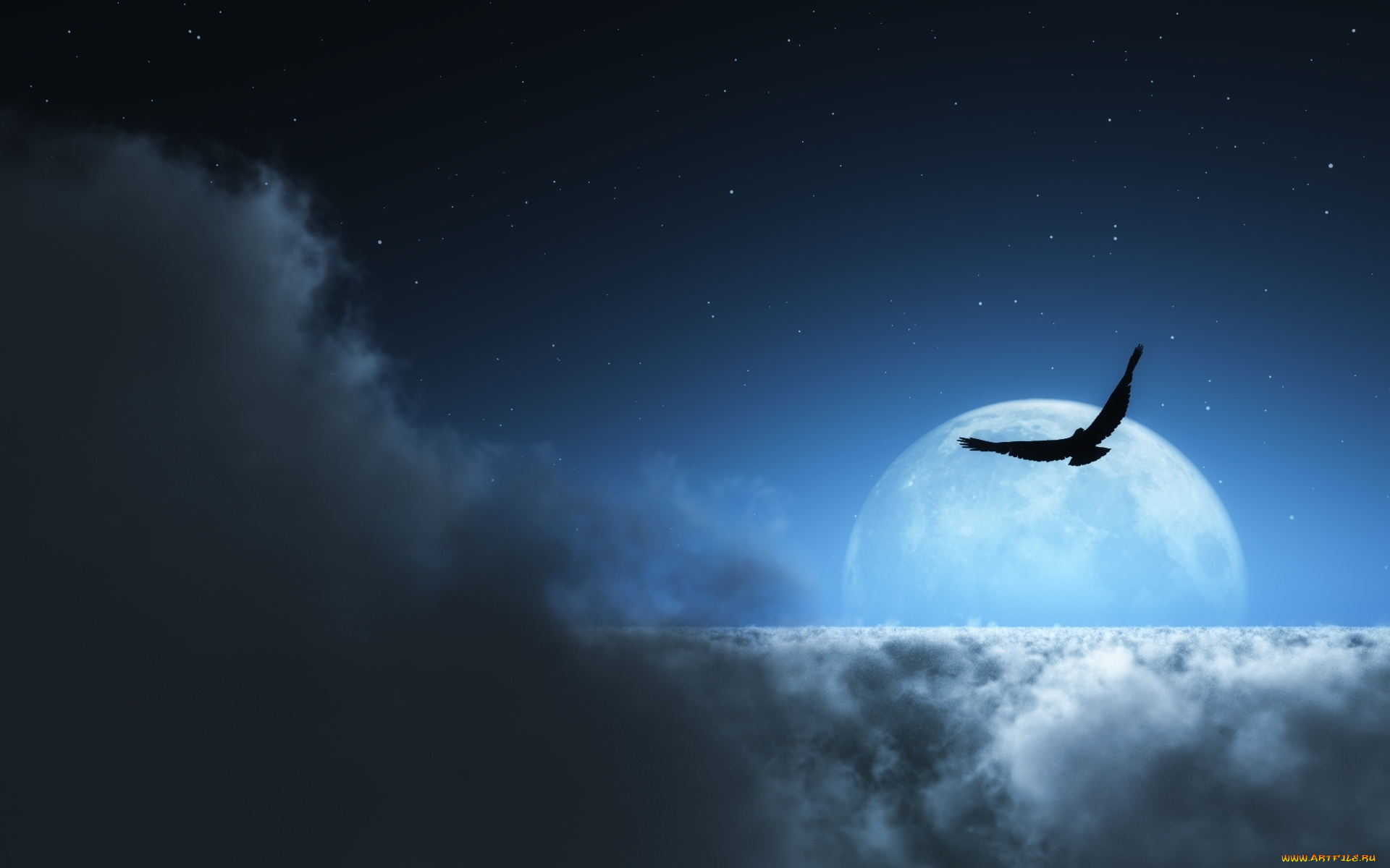 разное, компьютерный, дизайн, облака, луна, птица