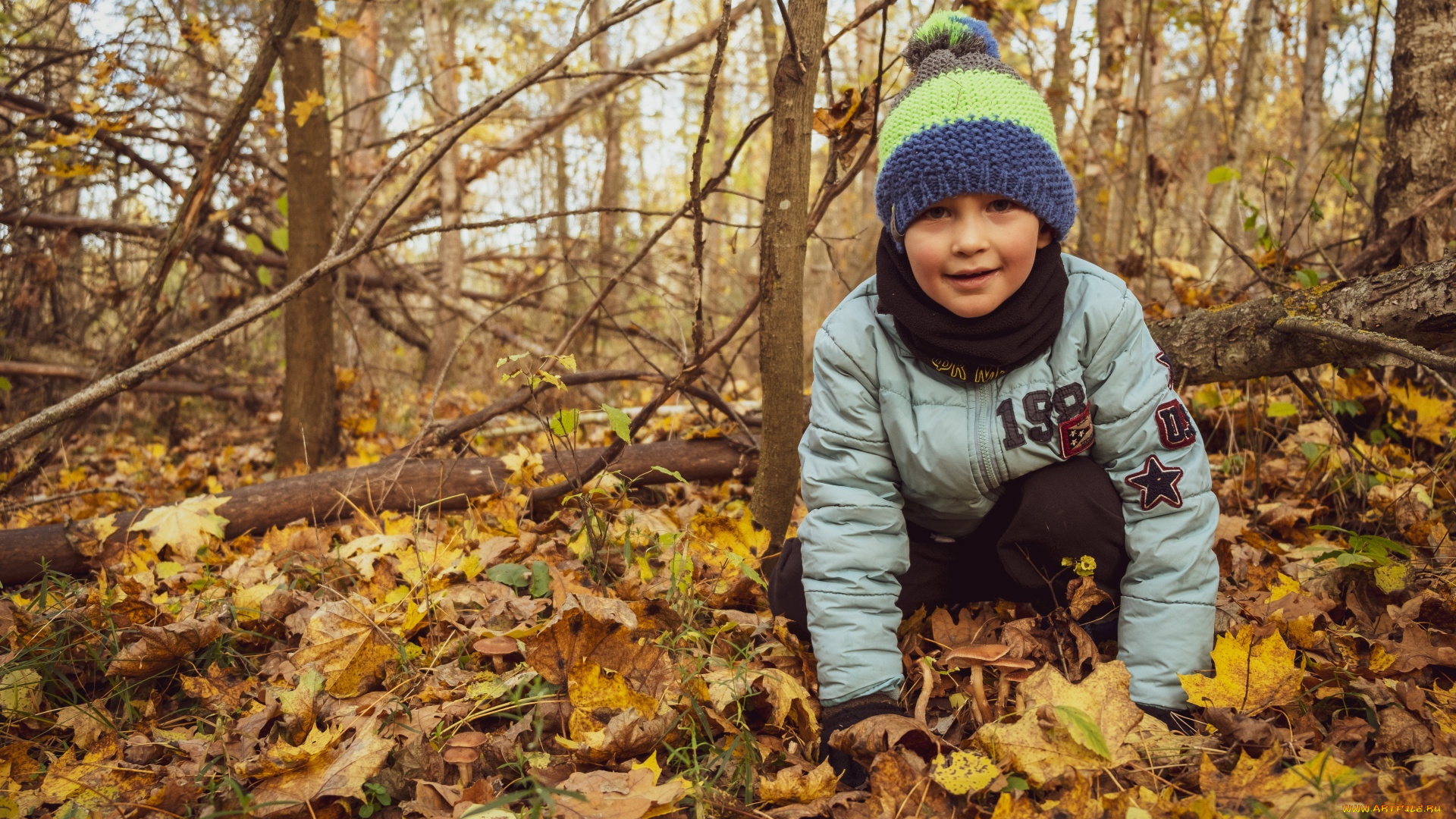 разное, дети, девочка, осень, листья, лес