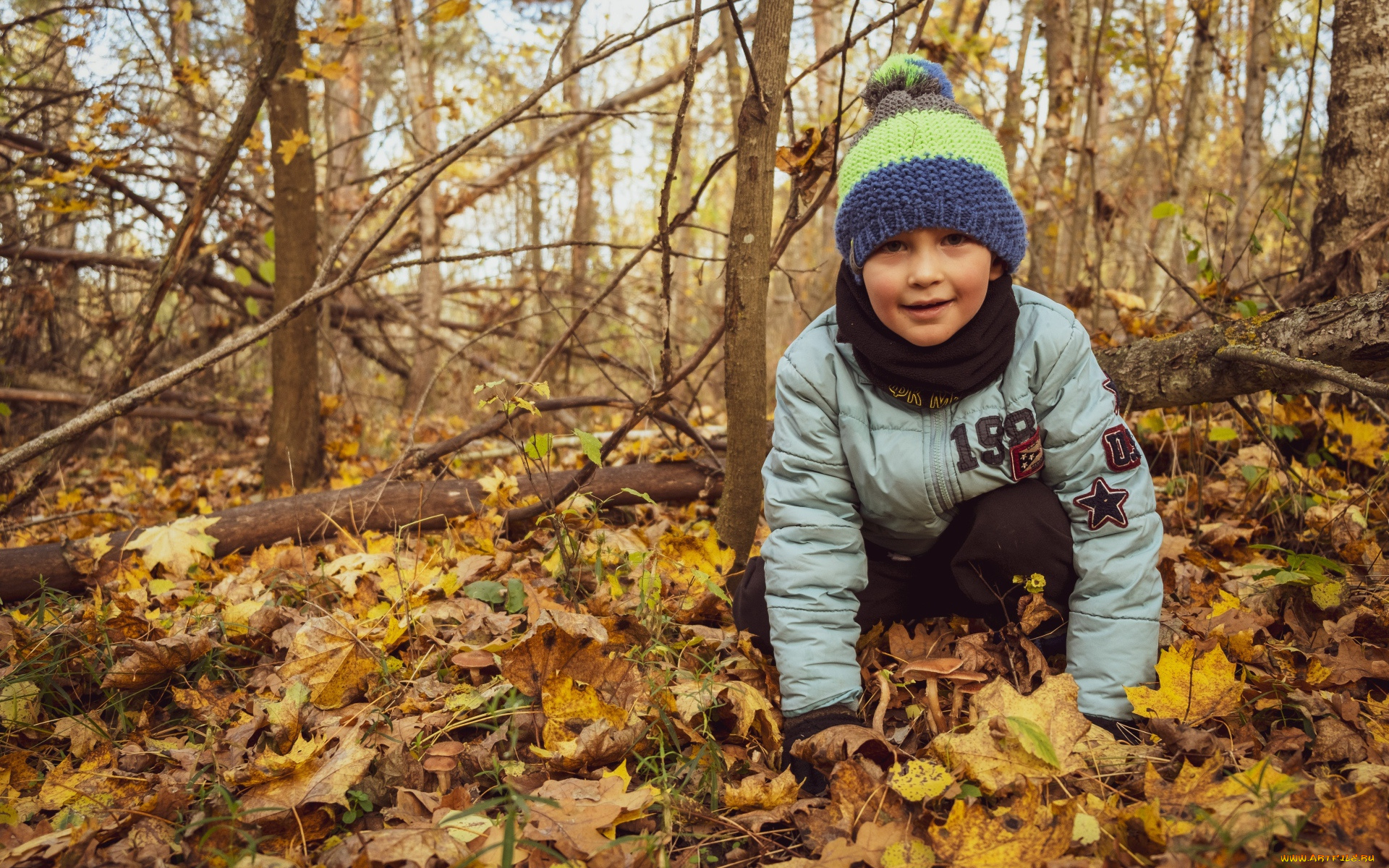 разное, дети, девочка, осень, листья, лес