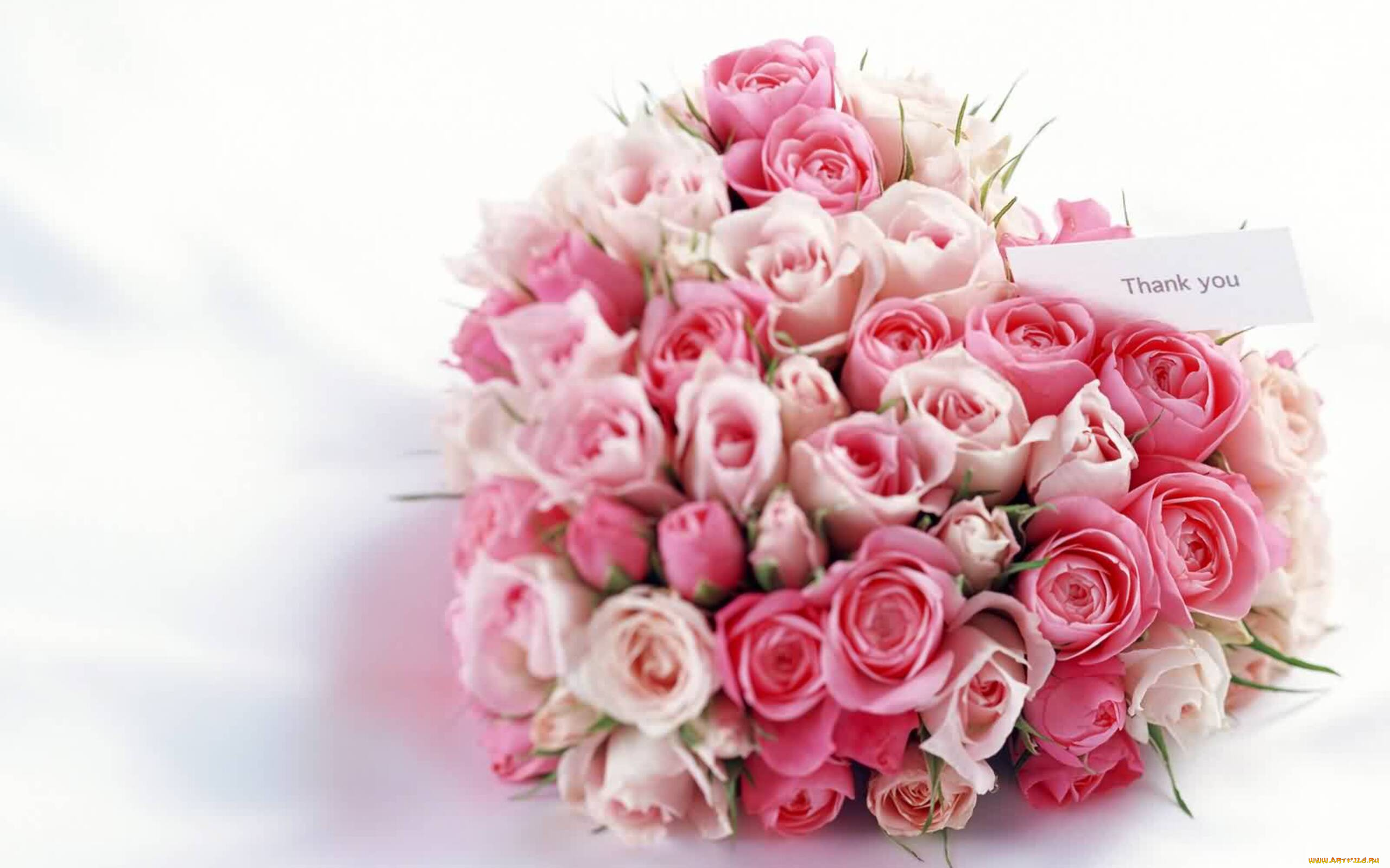 цветы, розы, букет