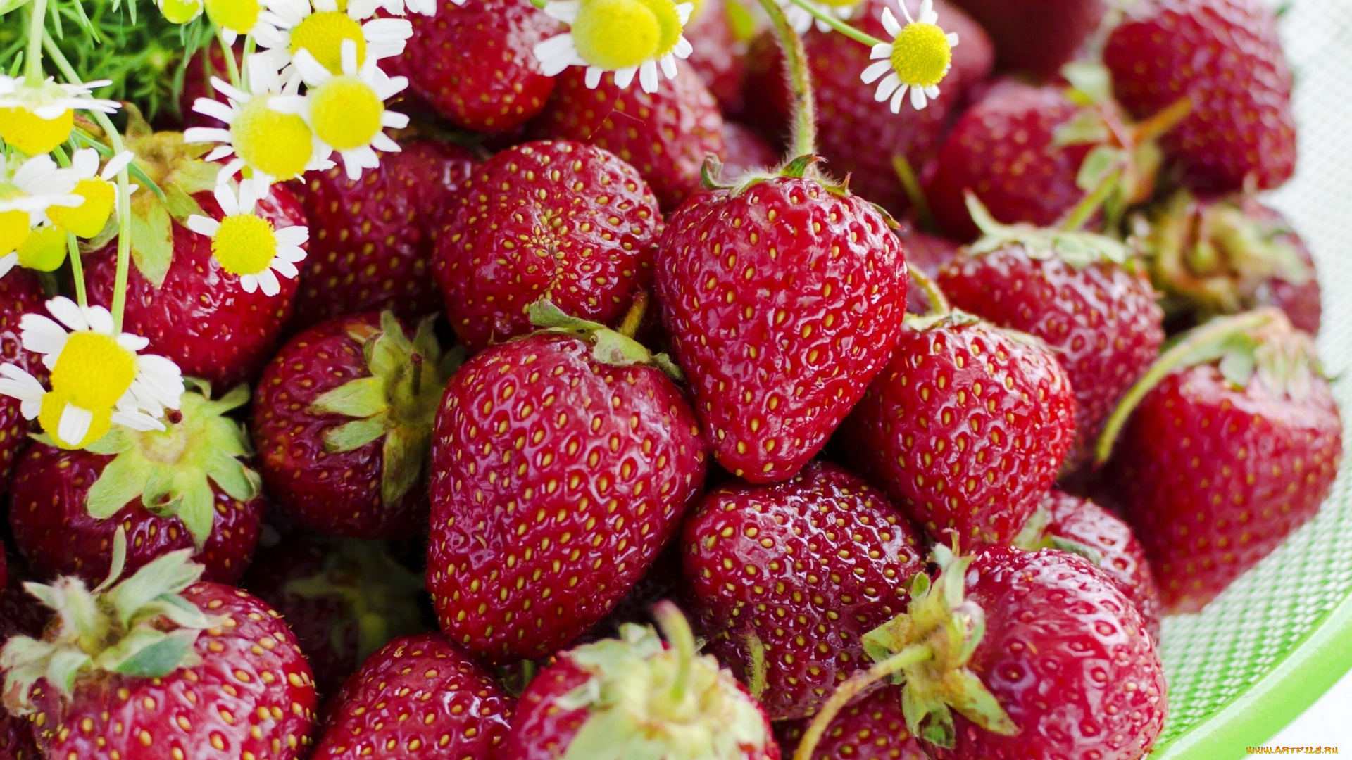 еда, клубника, , земляника, ягоды, спелая, макро