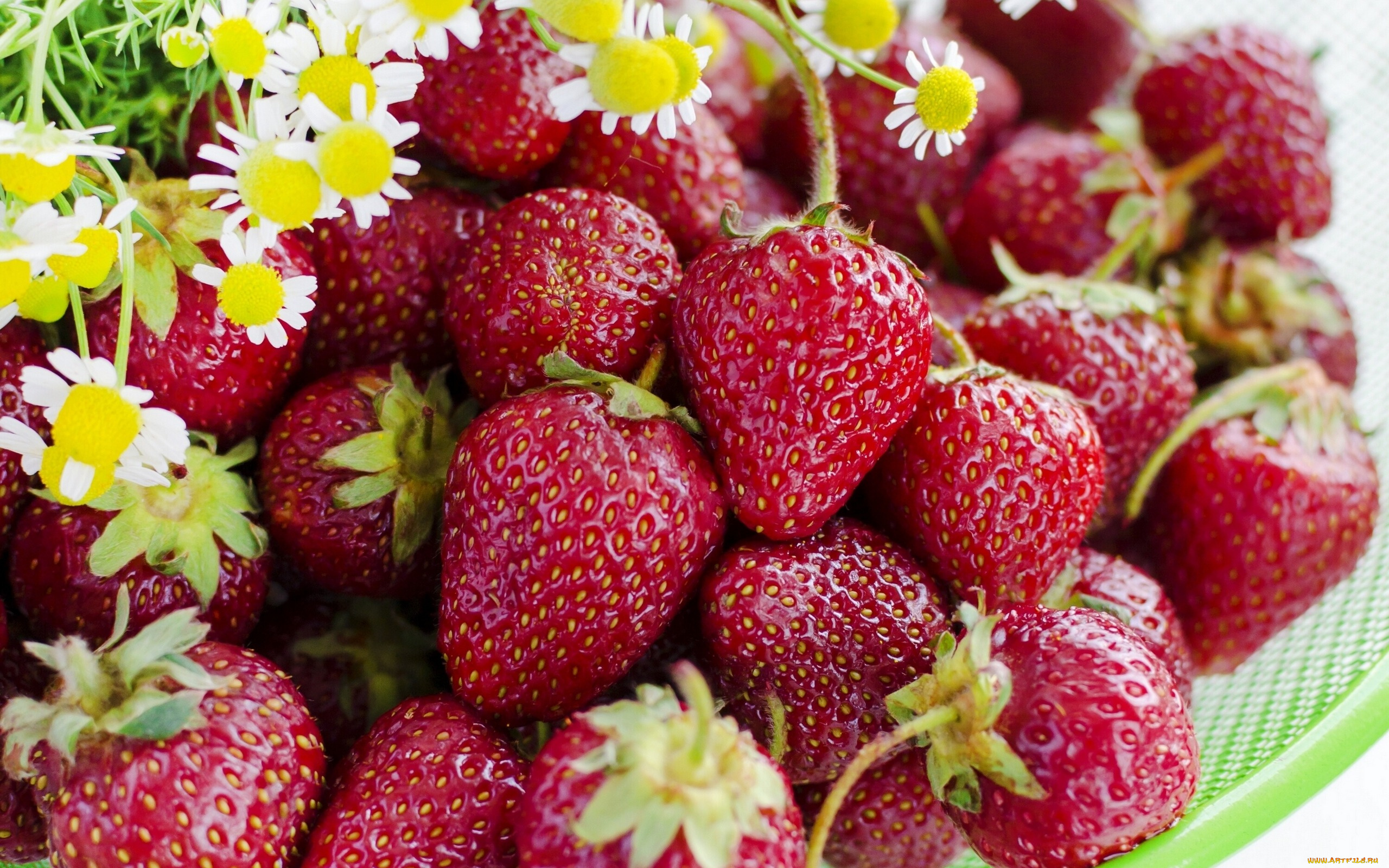 еда, клубника, , земляника, ягоды, спелая, макро