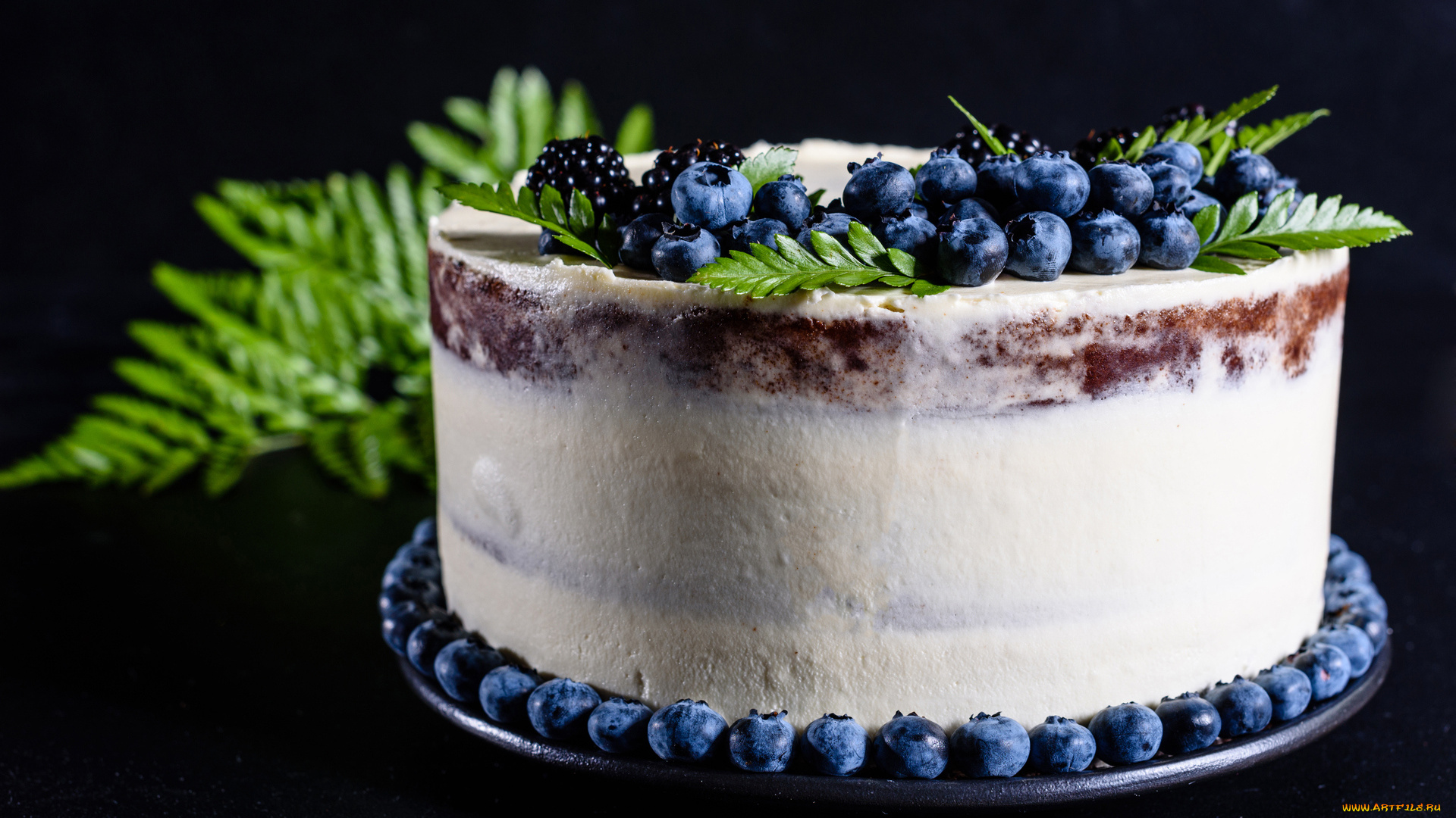 еда, торты, ежевика, торт, черника