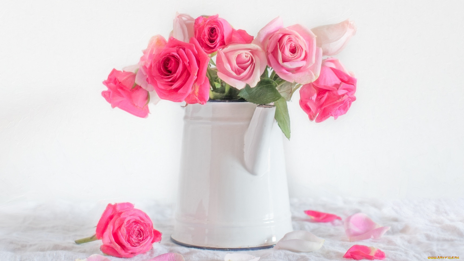 цветы, розы, лейка, букет, лепестки