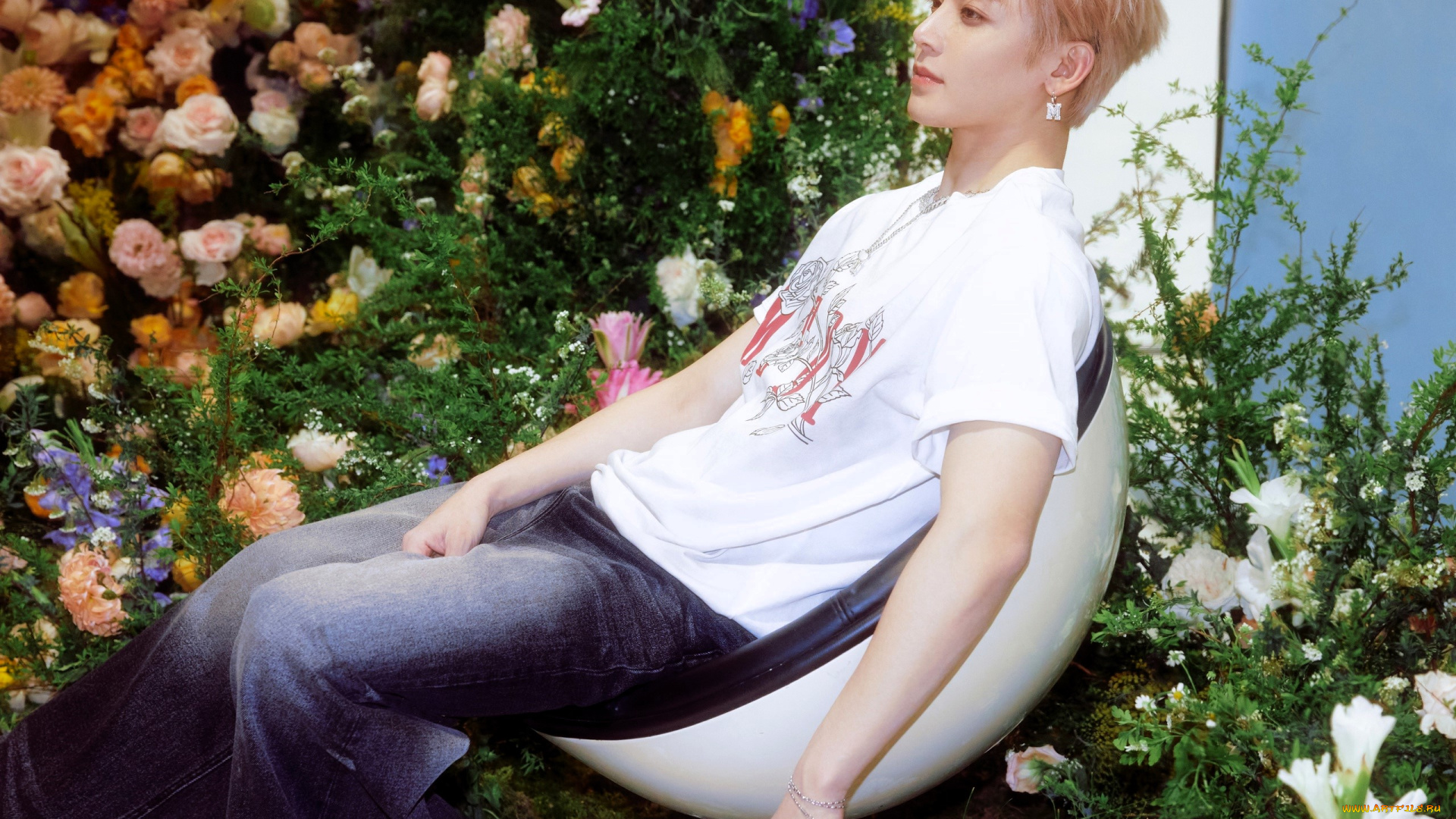 мужчины, hou, ming, hao, актер, футболка, джинсы, кресло, цветы