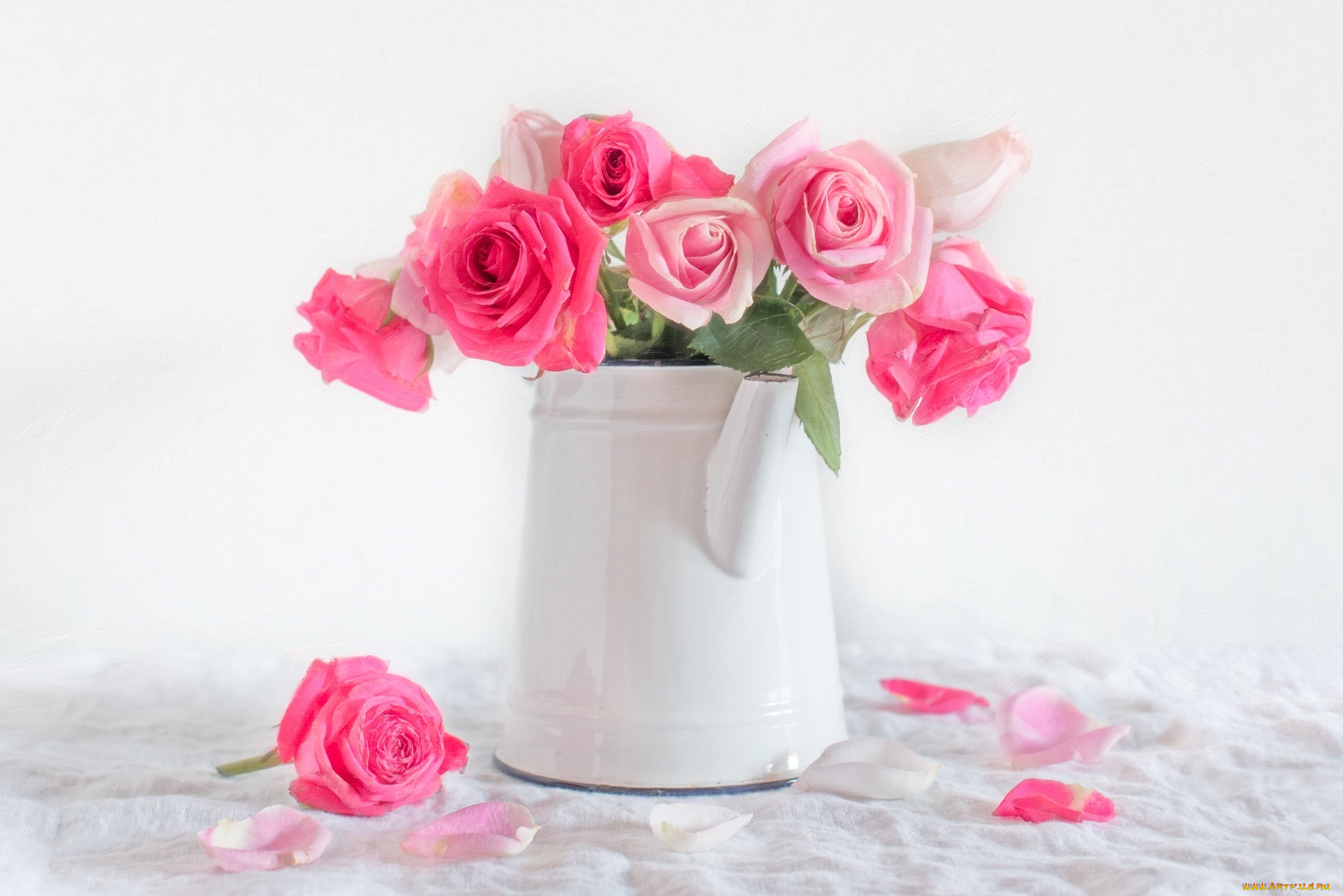 цветы, розы, лейка, букет, лепестки