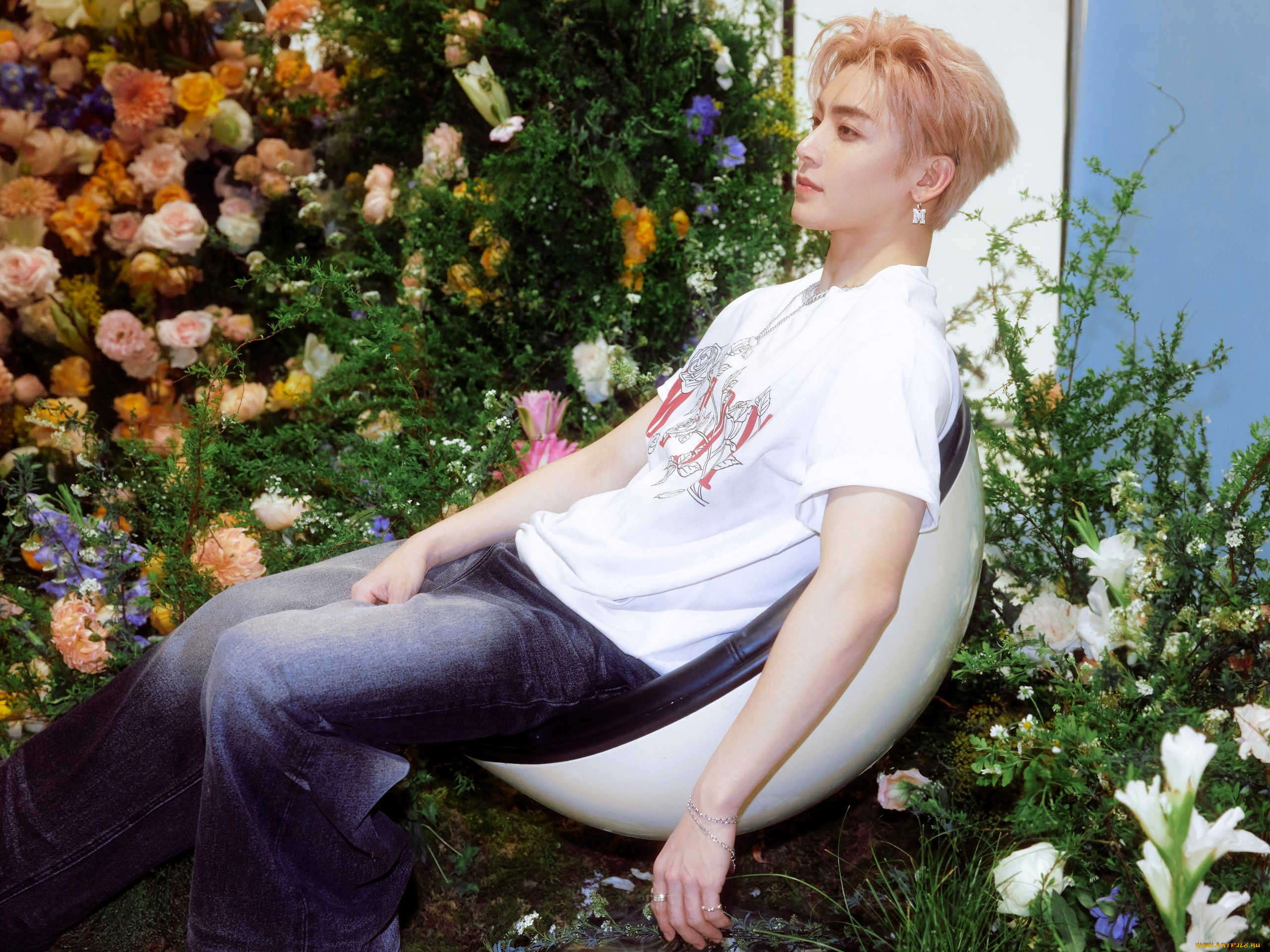 мужчины, hou, ming, hao, актер, футболка, джинсы, кресло, цветы