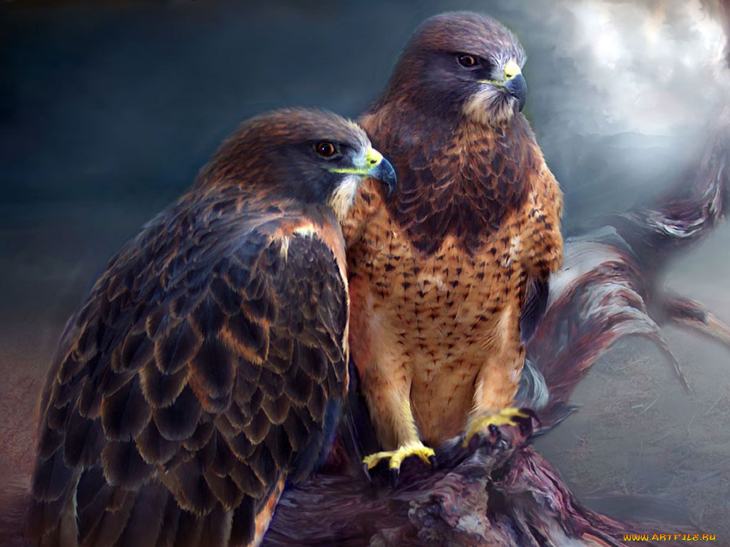 рисованные, животные, птицы