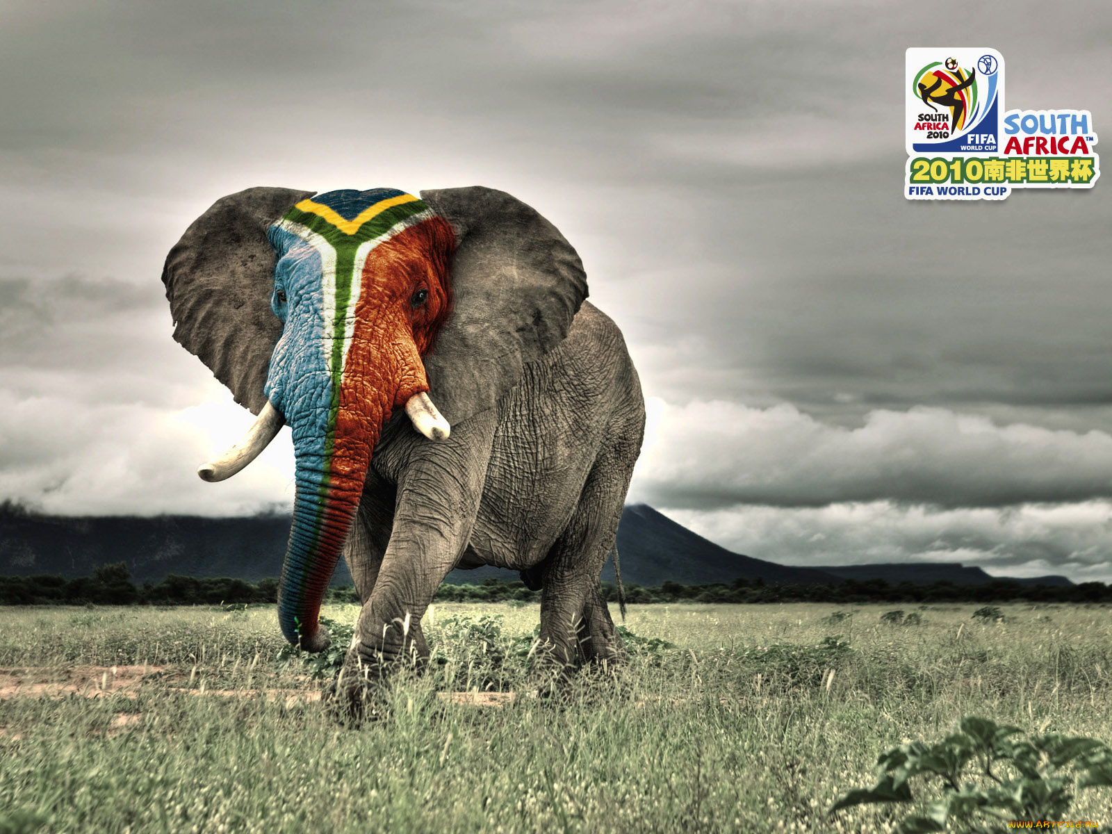 спорт, логотипы, турниров