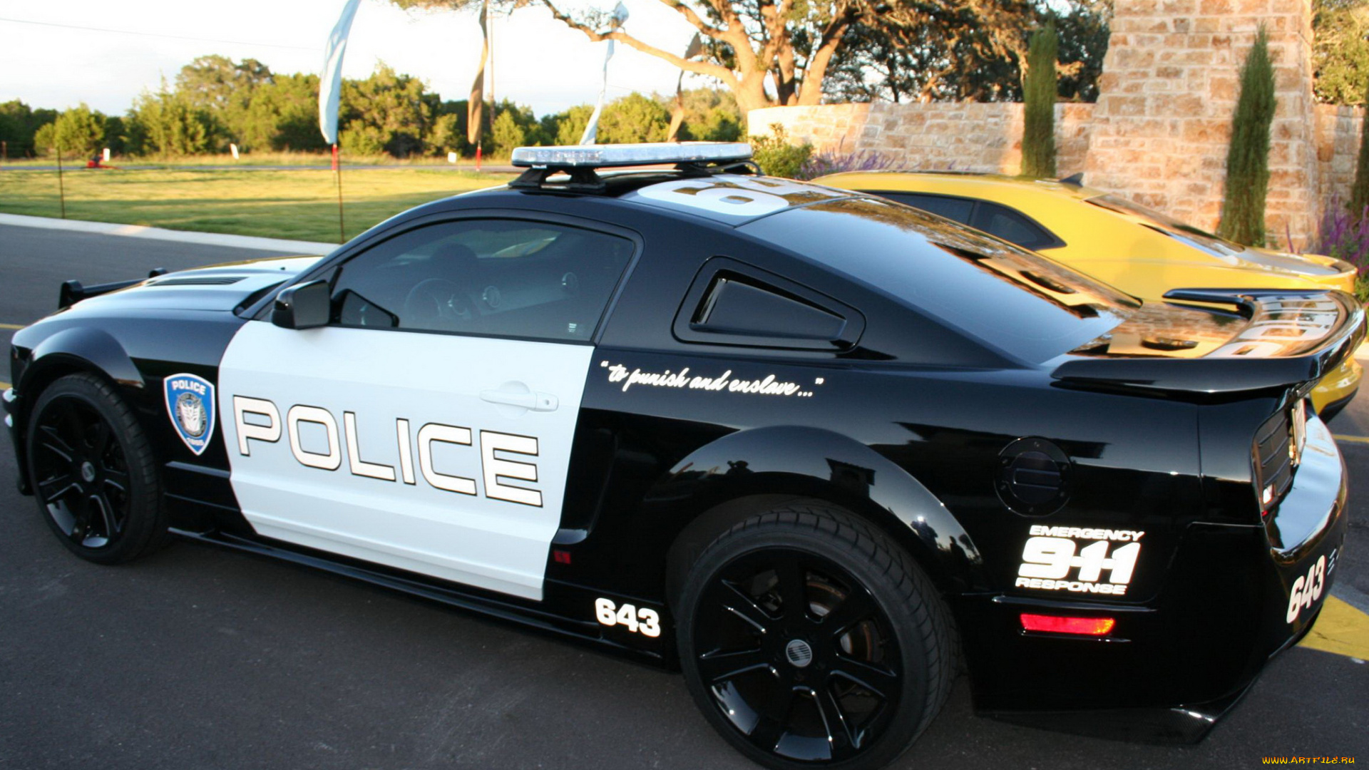 автомобили, разные, вместе