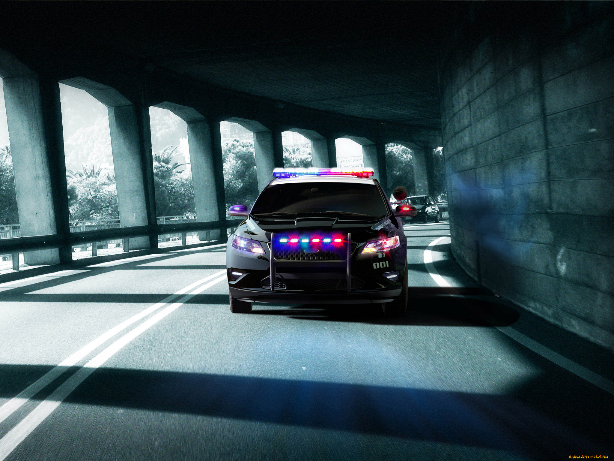 автомобили, полиция